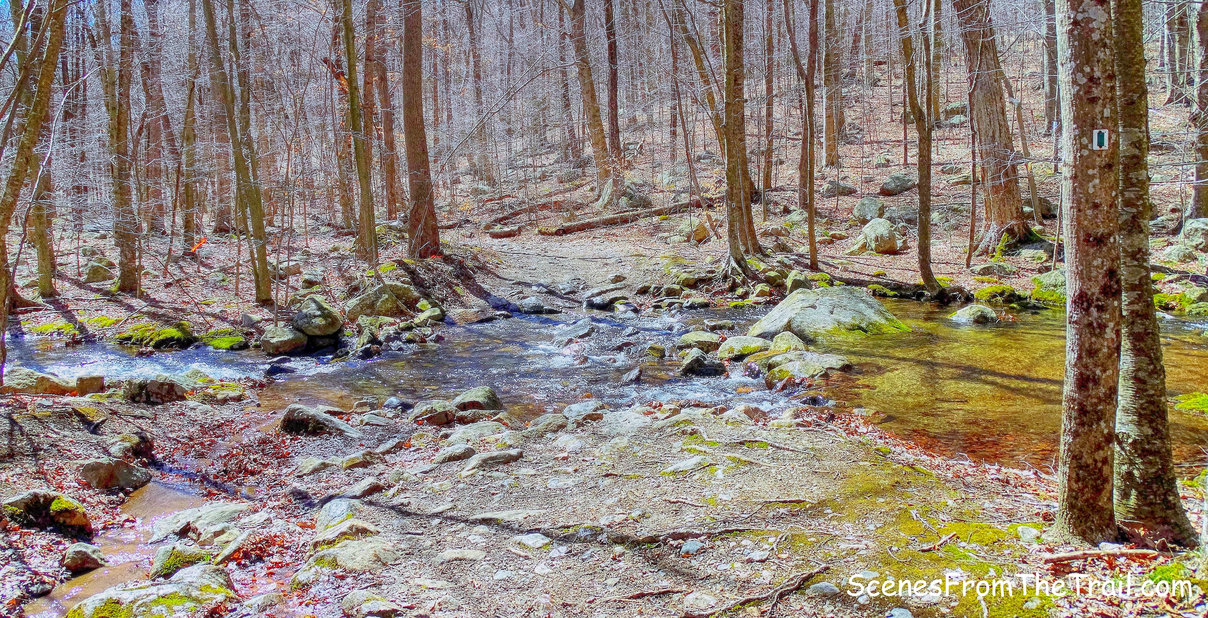 Havemeyer Brook - Halifax Trail