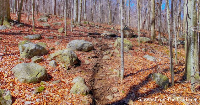 purple-blazed Havemeyer Trail