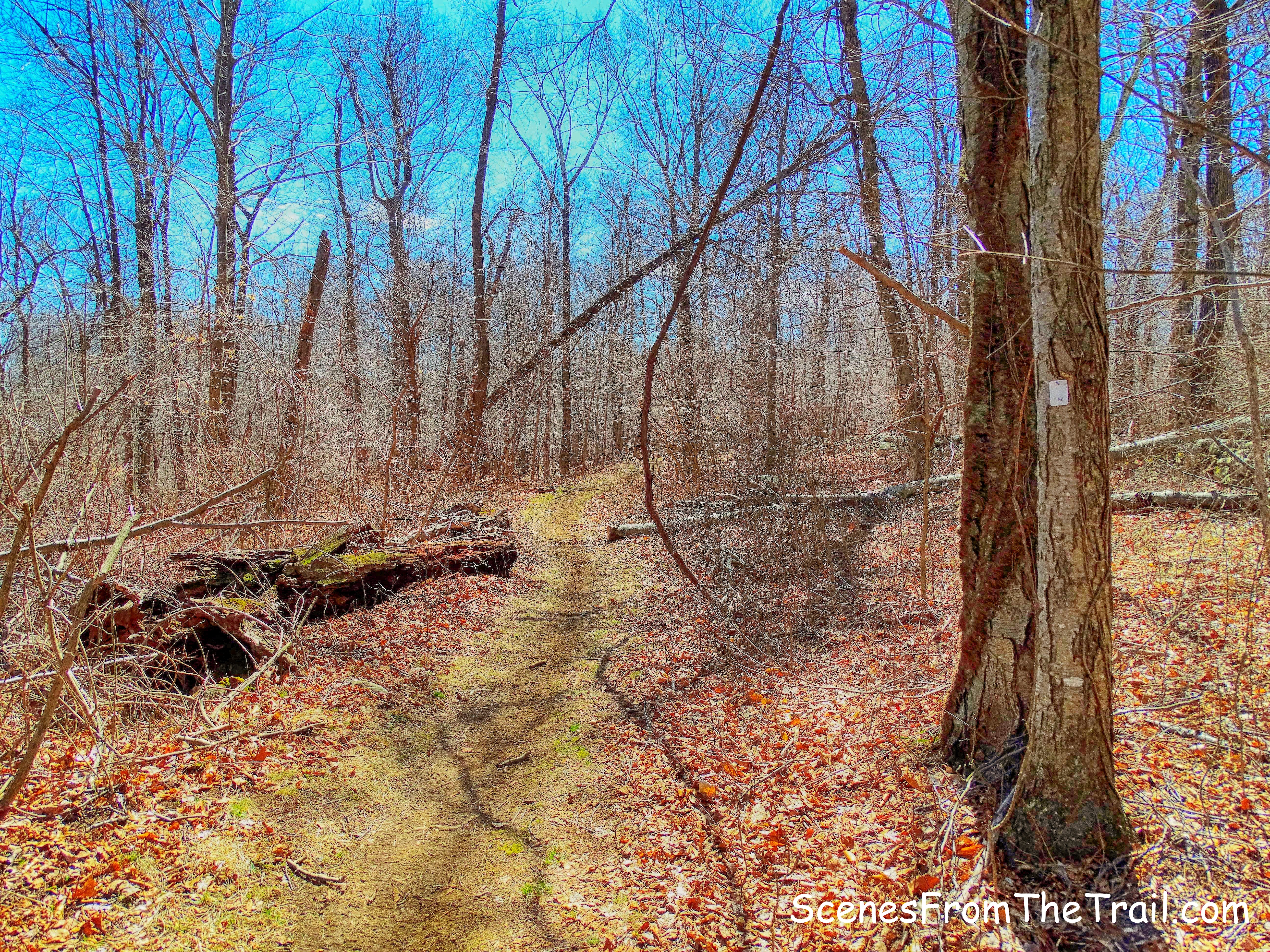 White Trail