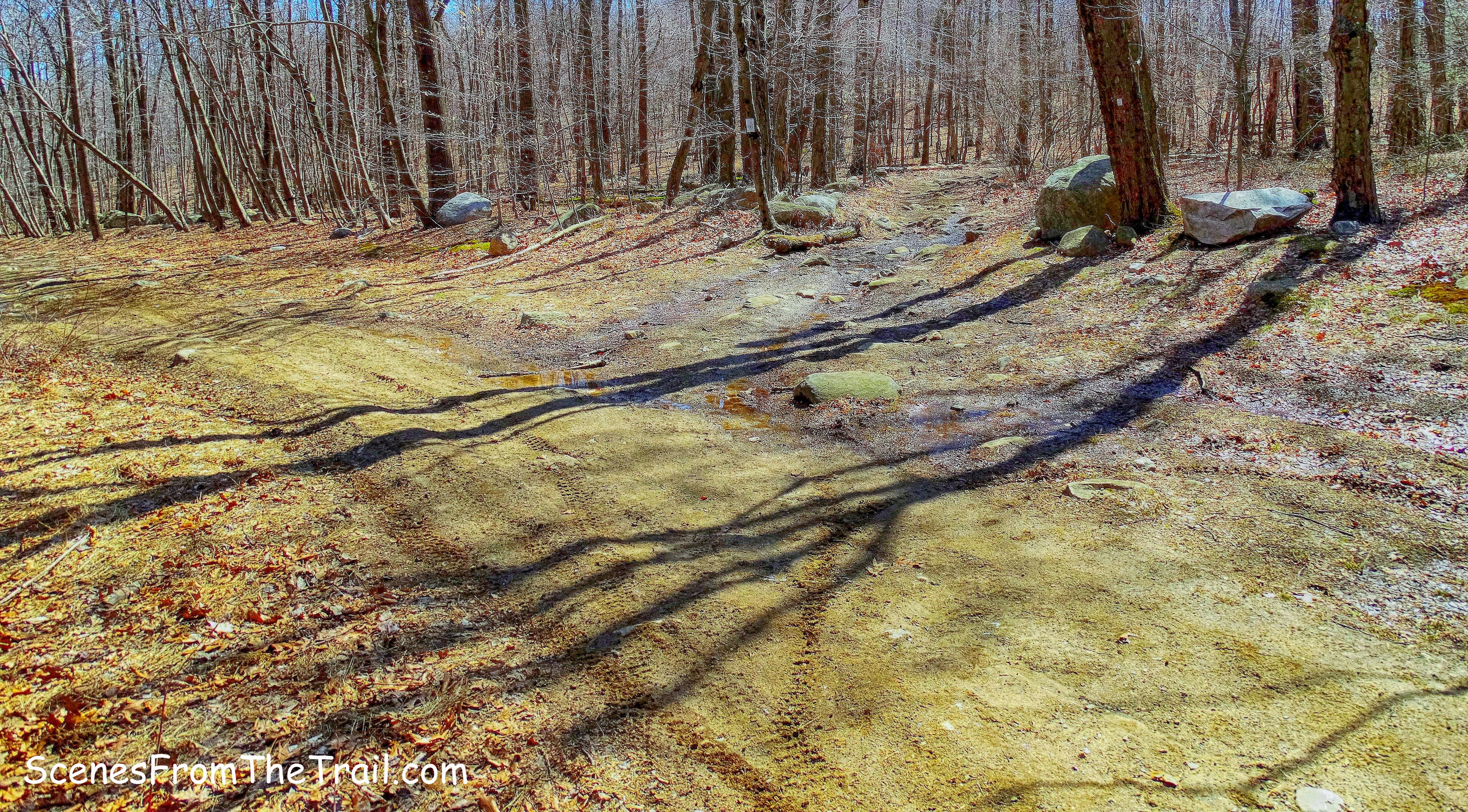 White Trail