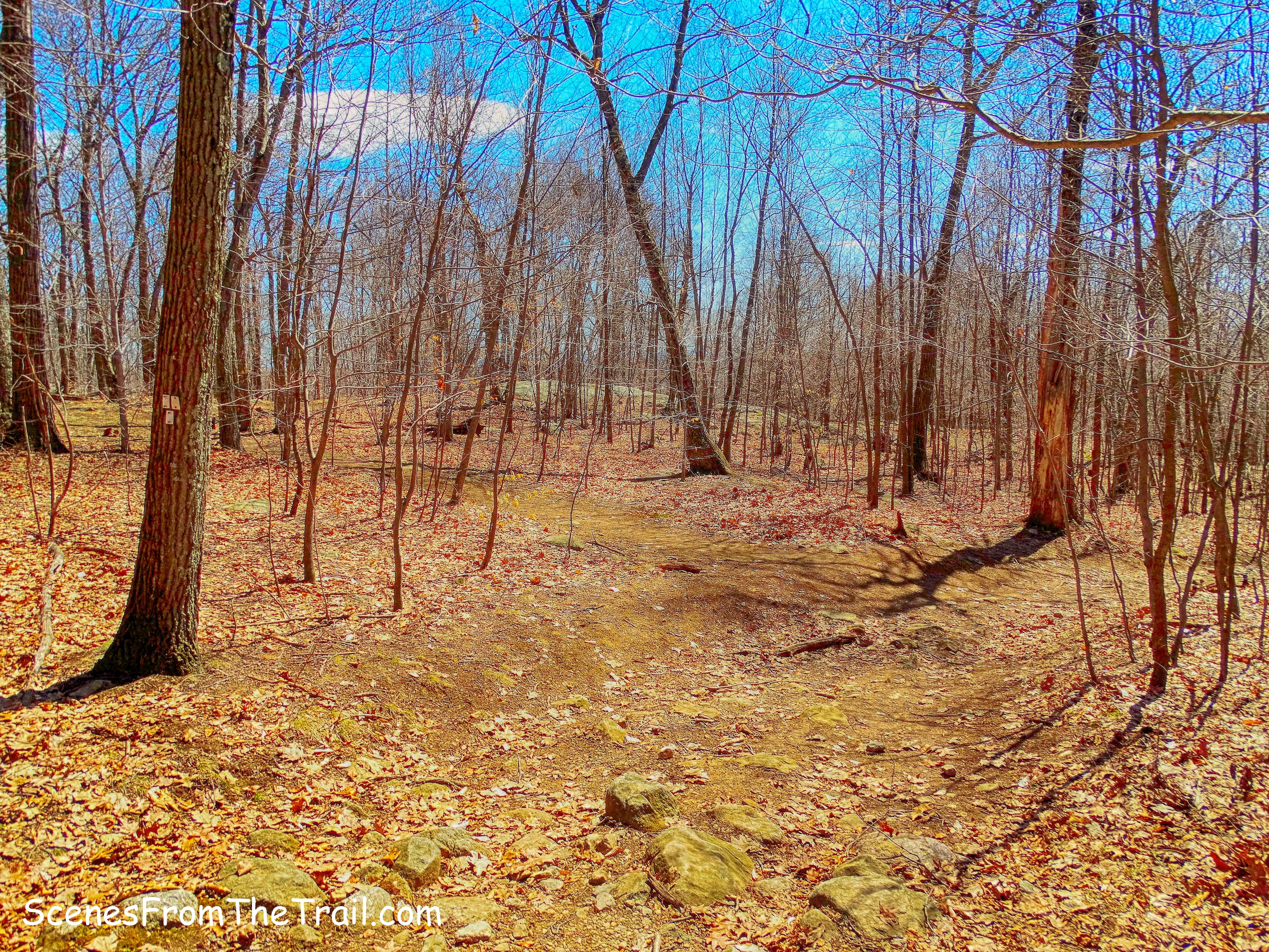 White Trail terminus