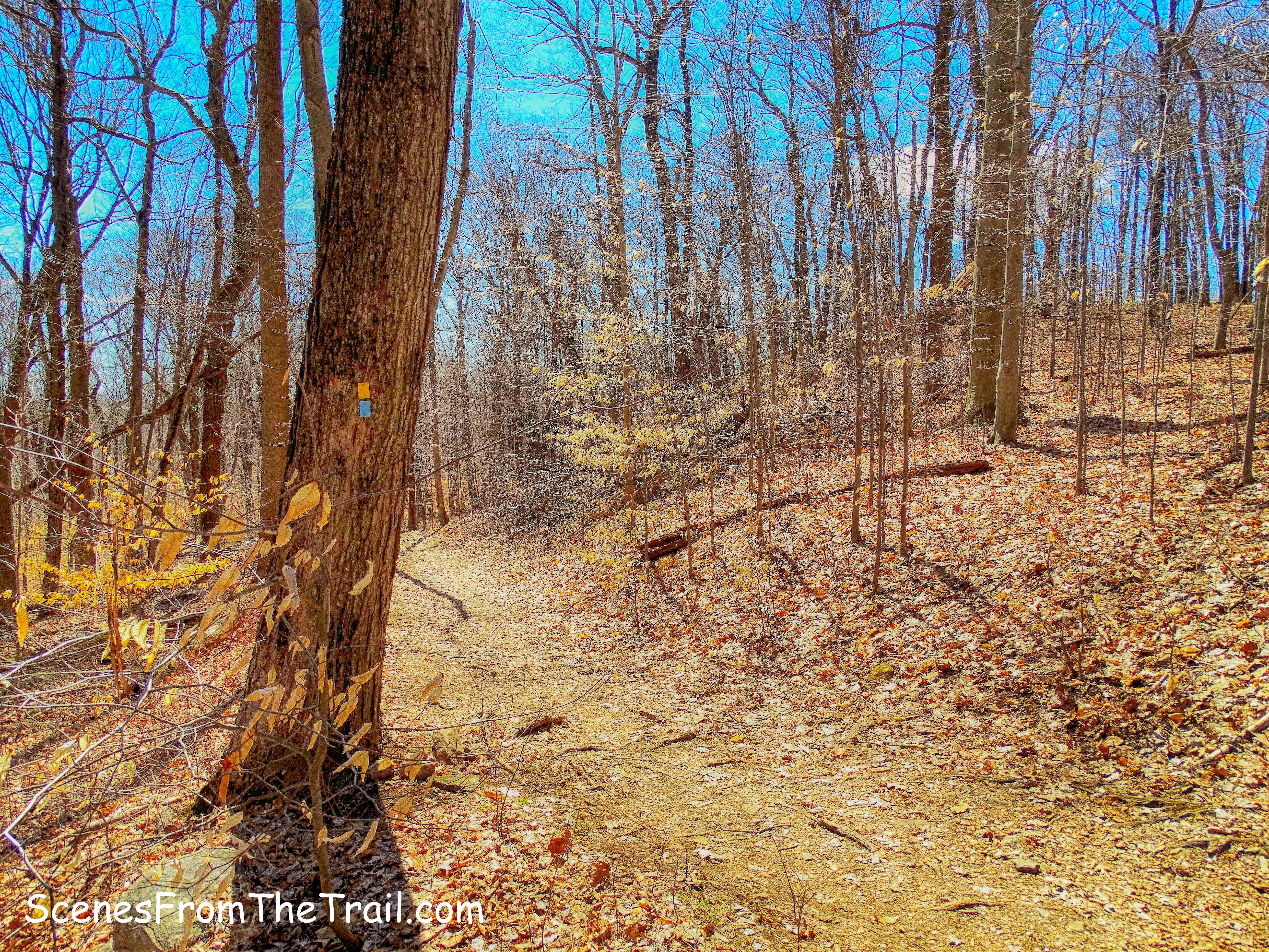 Yellow-blazed Vista Loop Trail/Blue-blazed Ridge Loop Trail