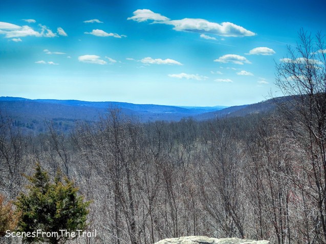 view from Ridge Overlook