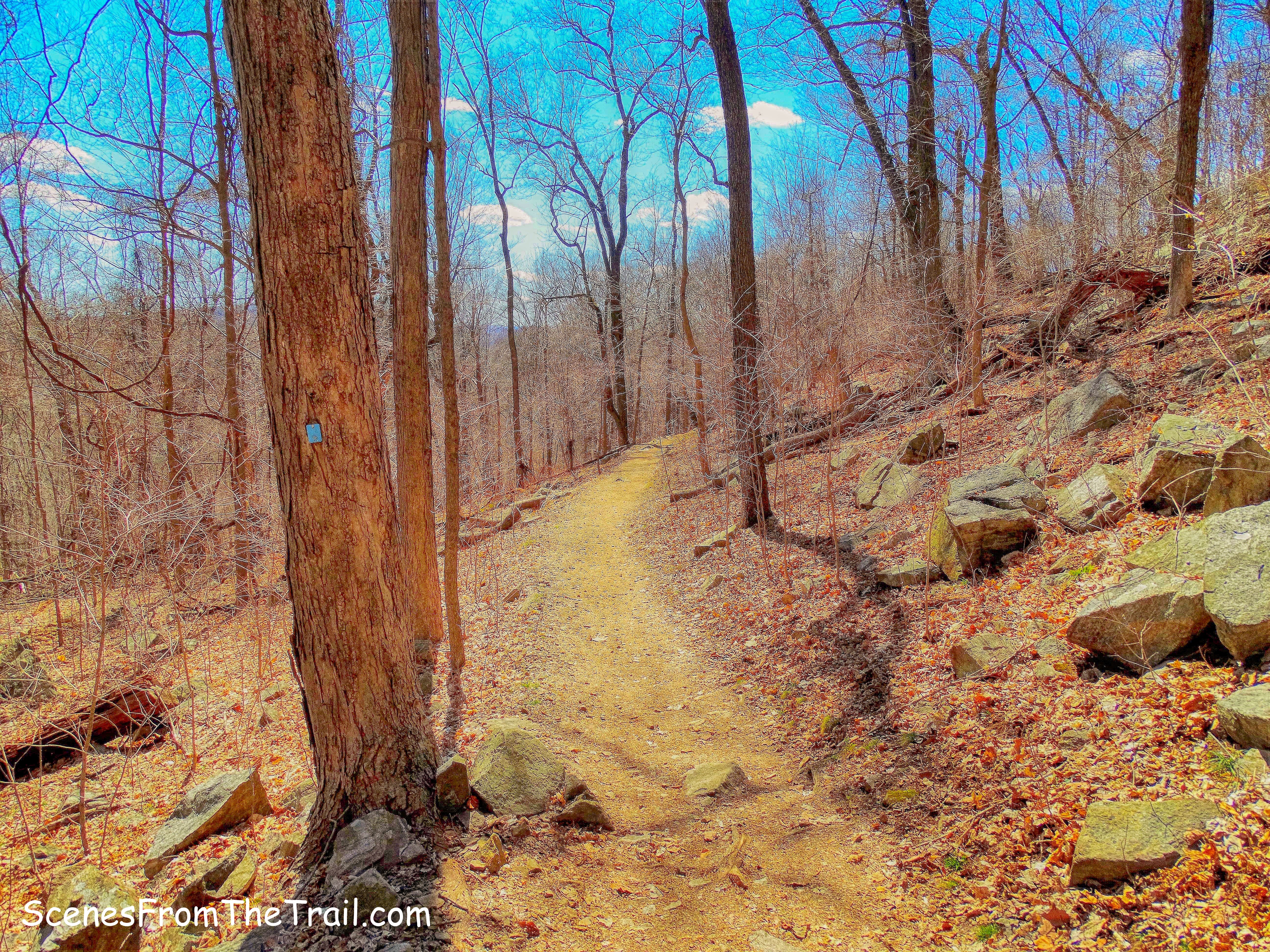 Blue-blazed Ridge Loop Trail