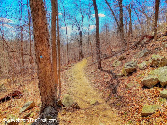 Blue-blazed Ridge Loop Trail