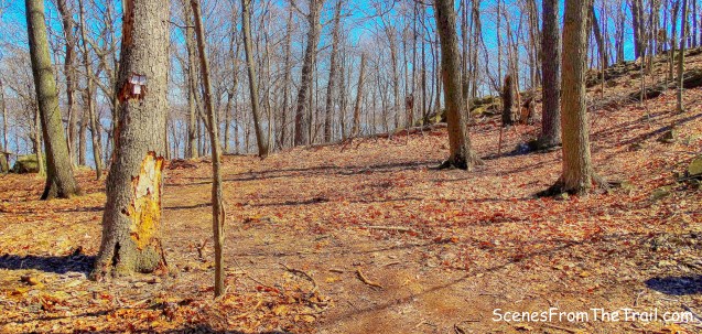 White-blazed Treason Trail