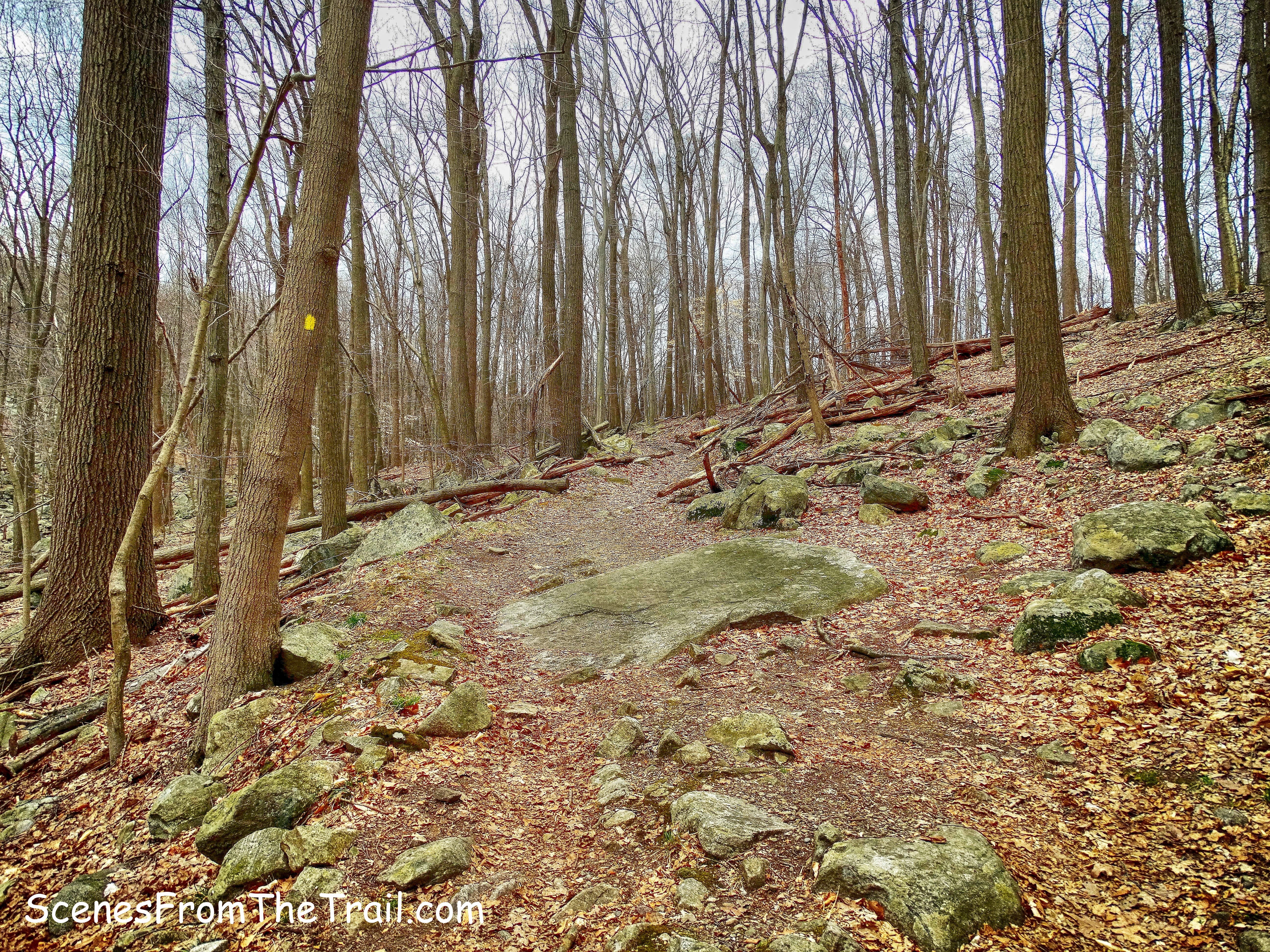 Menomine Trail