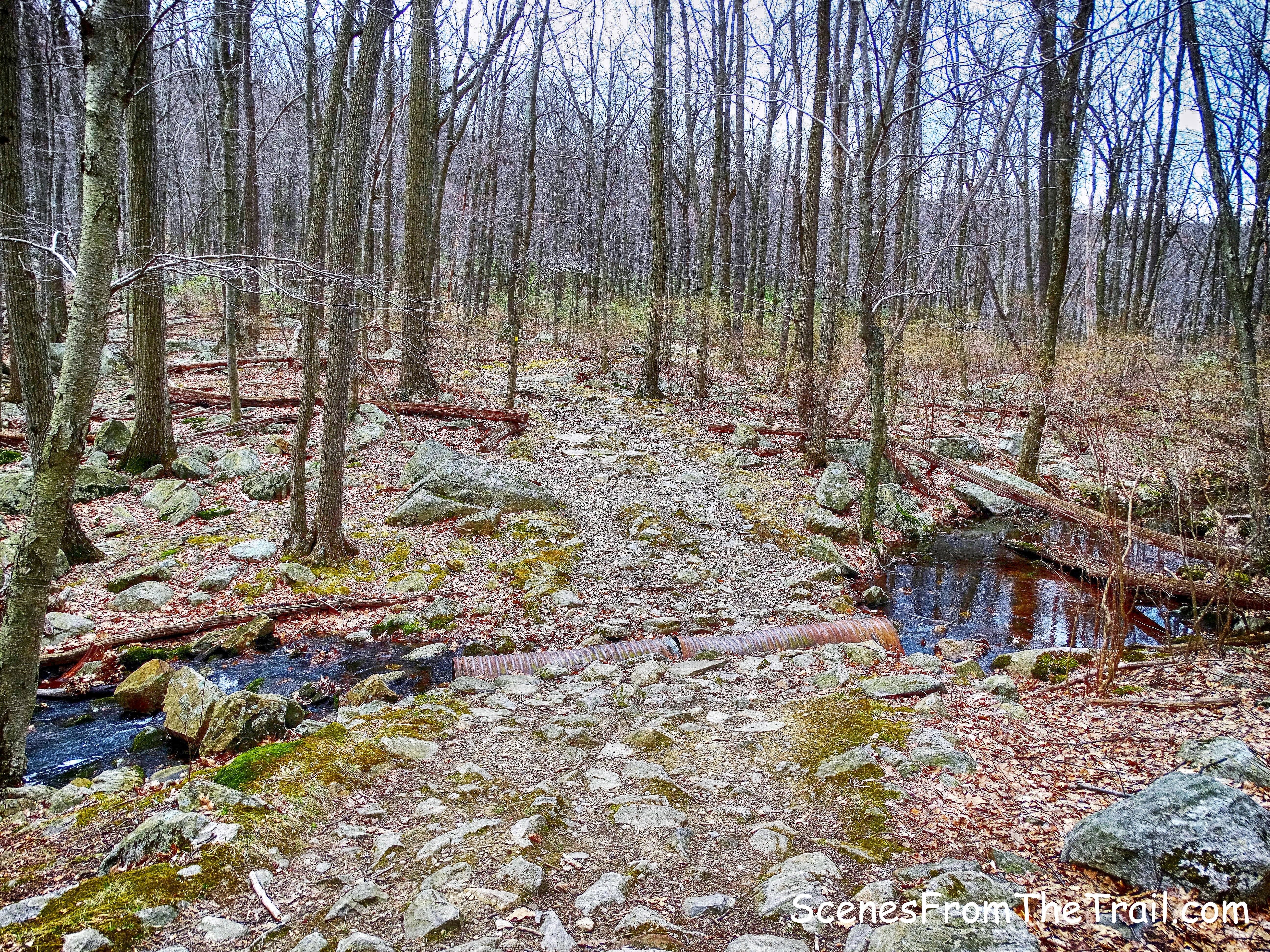 Menomine Trail