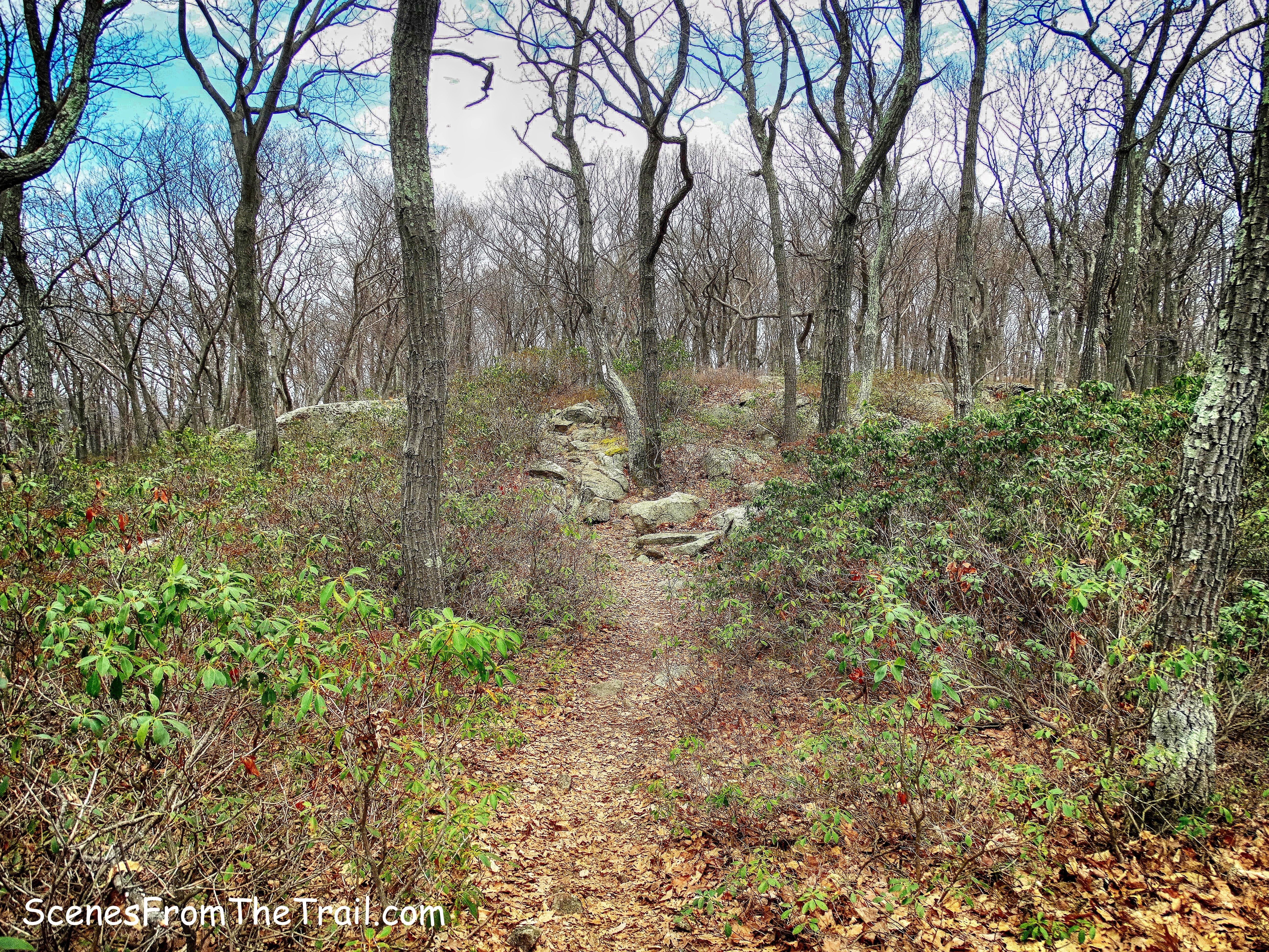 AT/R-D trail