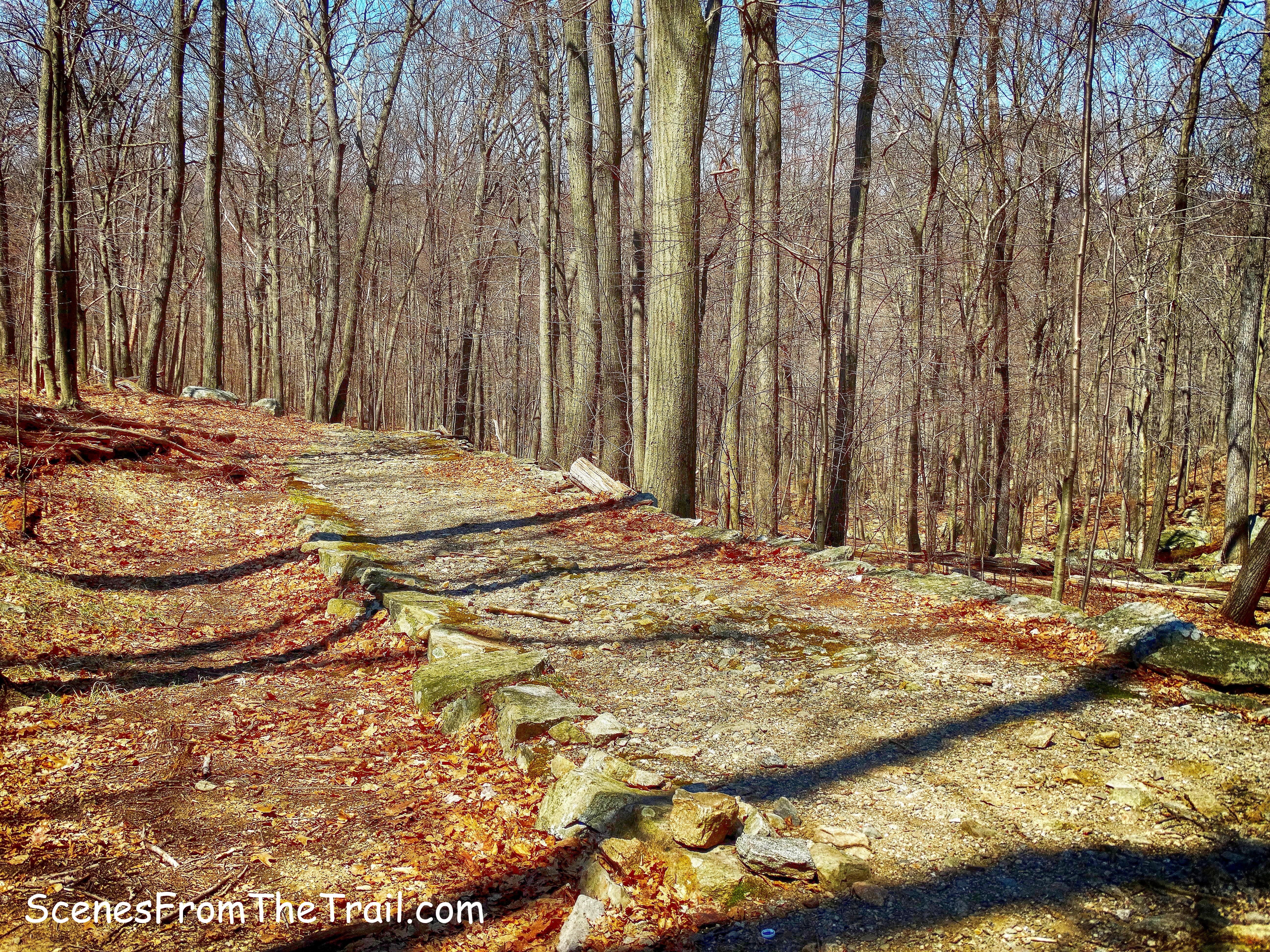 Silver Mine Road