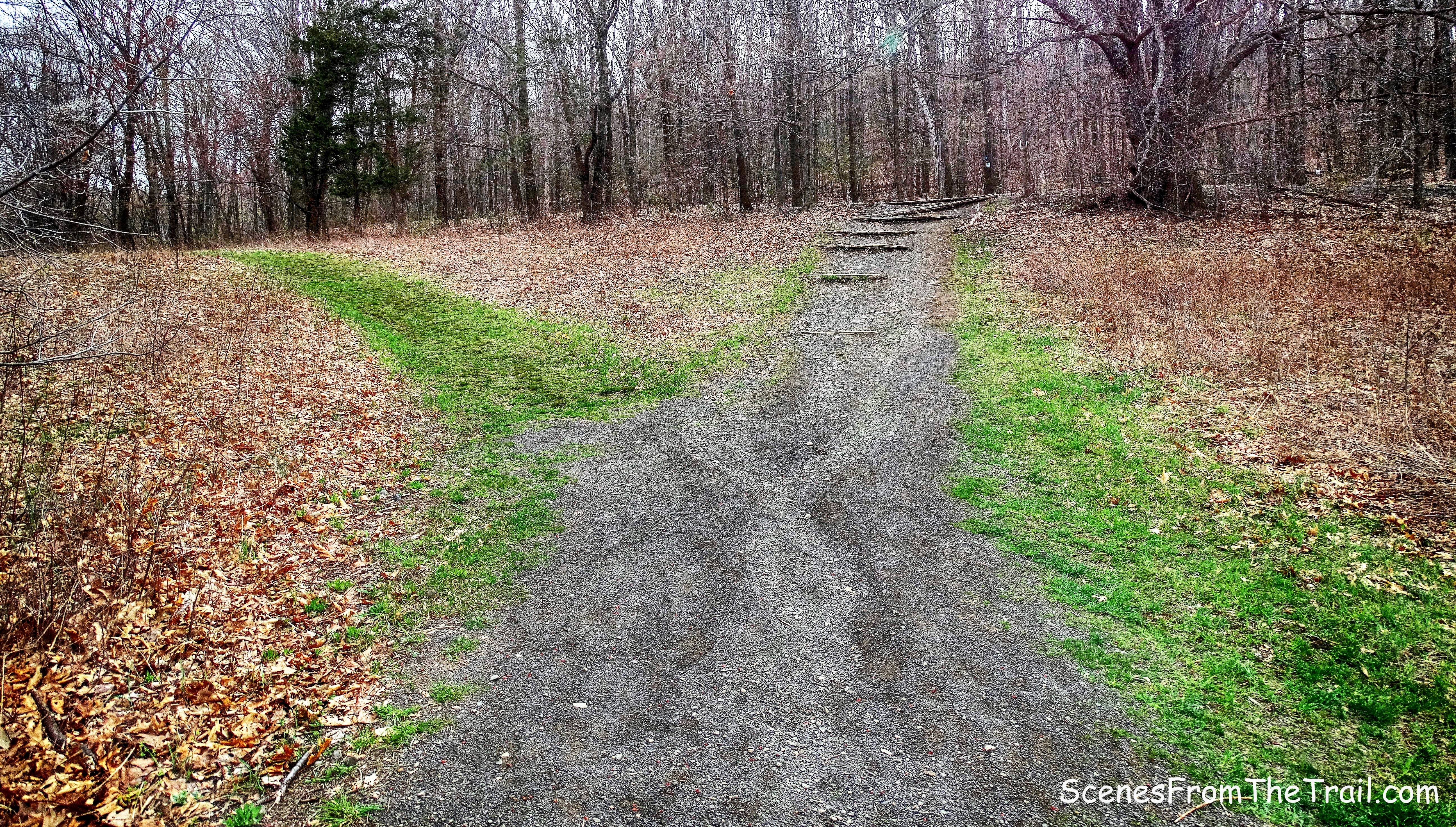 gravel path