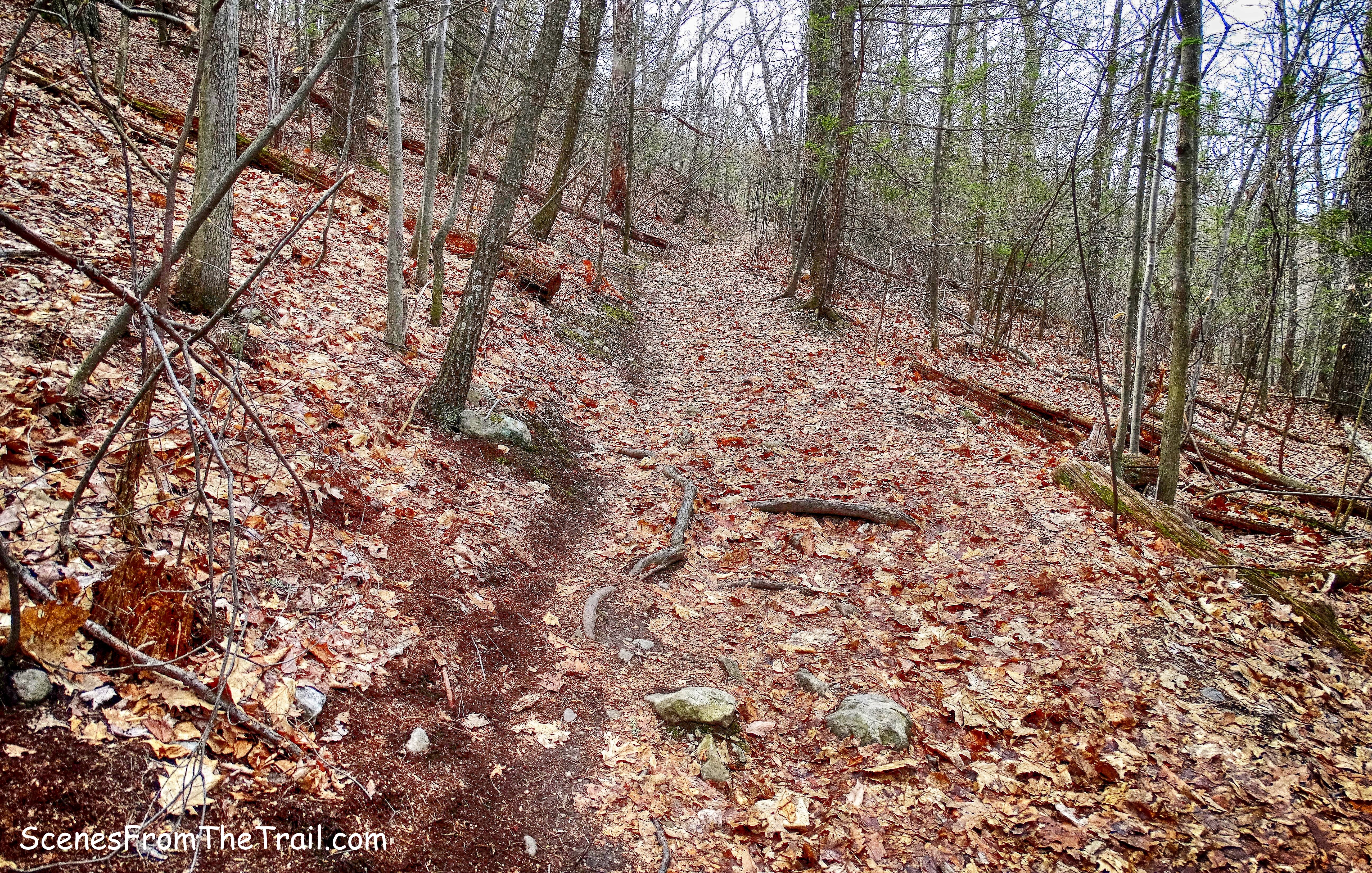 Crag Trail
