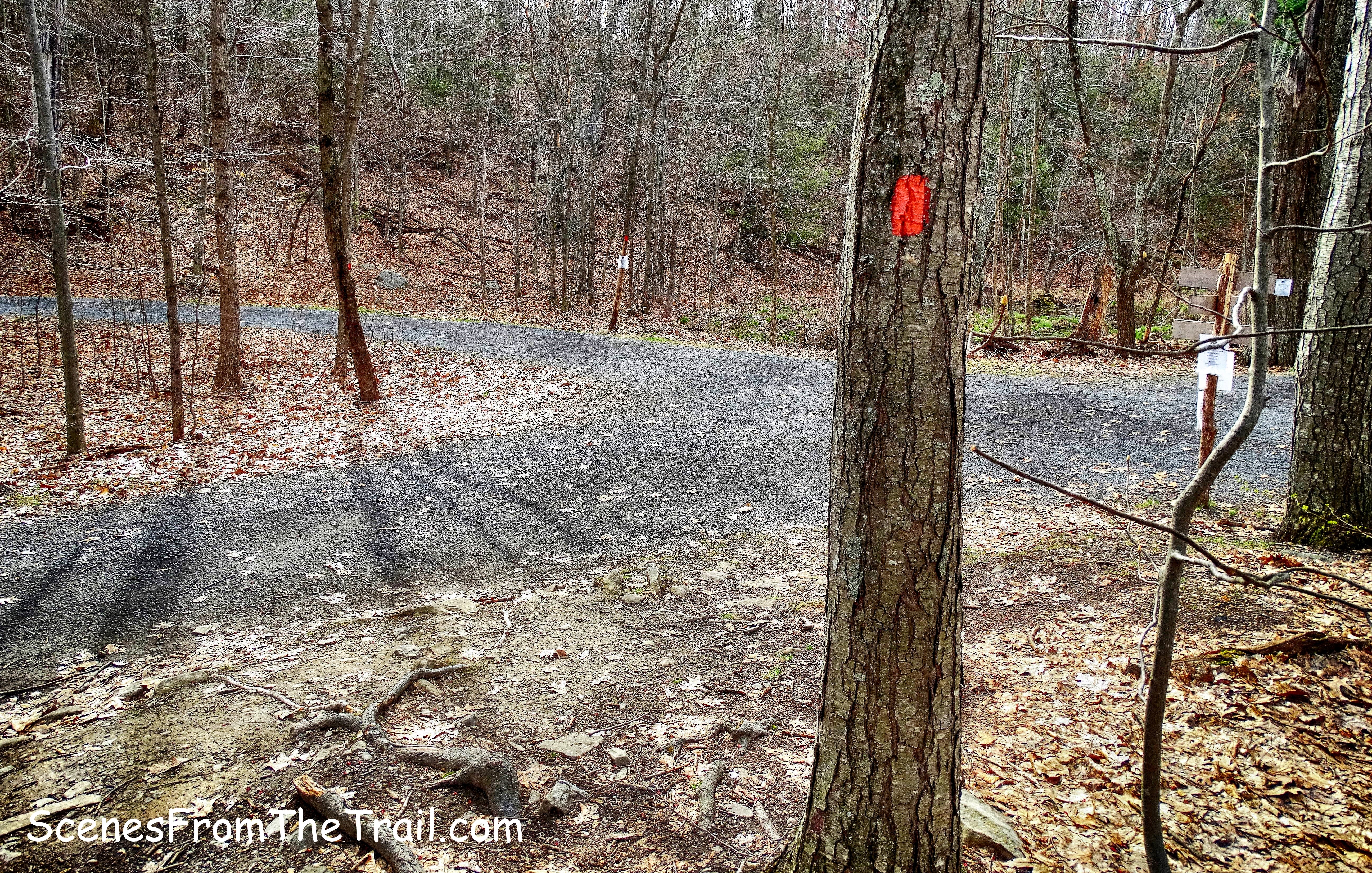 Crag Trail