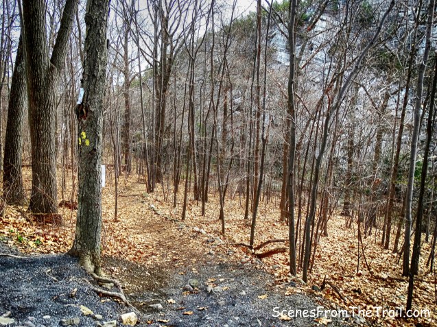 Bonticou Ascent Path