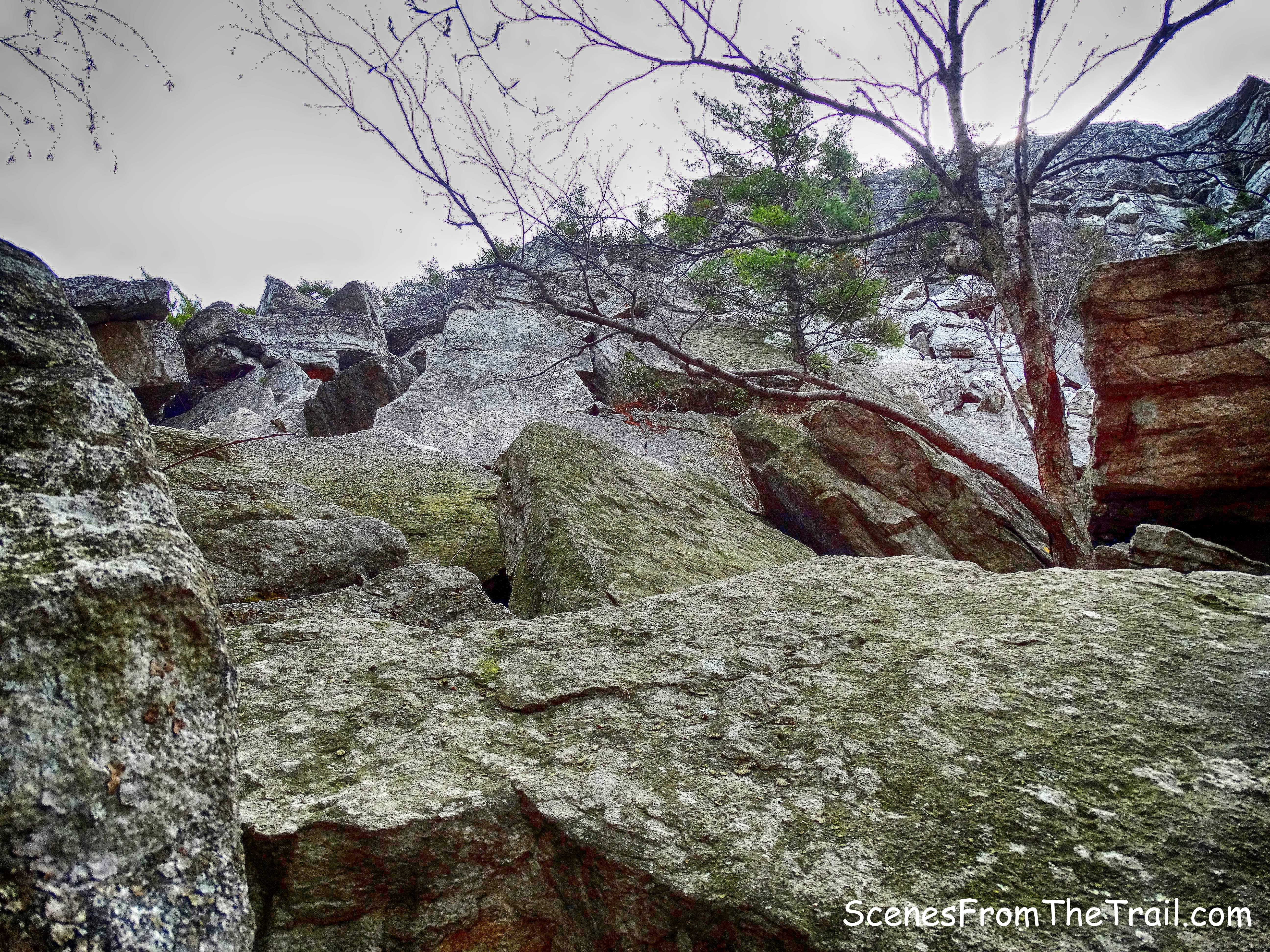 Bonticou Crag