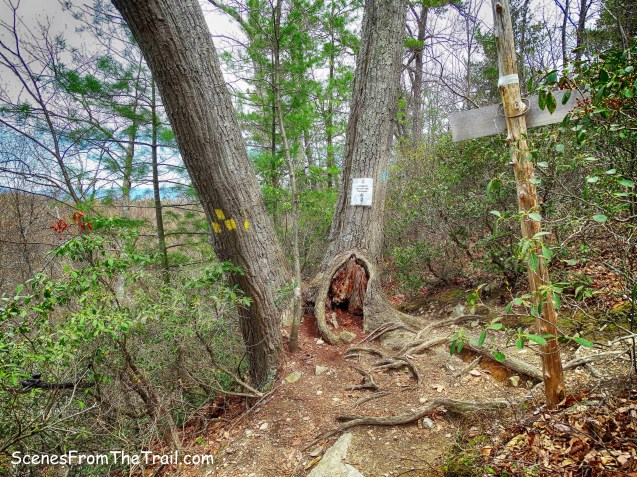 blue-blazed Northeast Trail