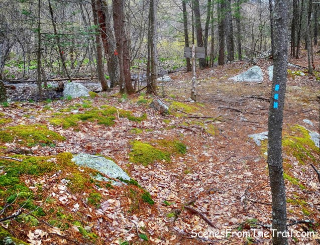 blue-blazed Northeast Trail