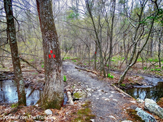red-blazed Clearwater Road