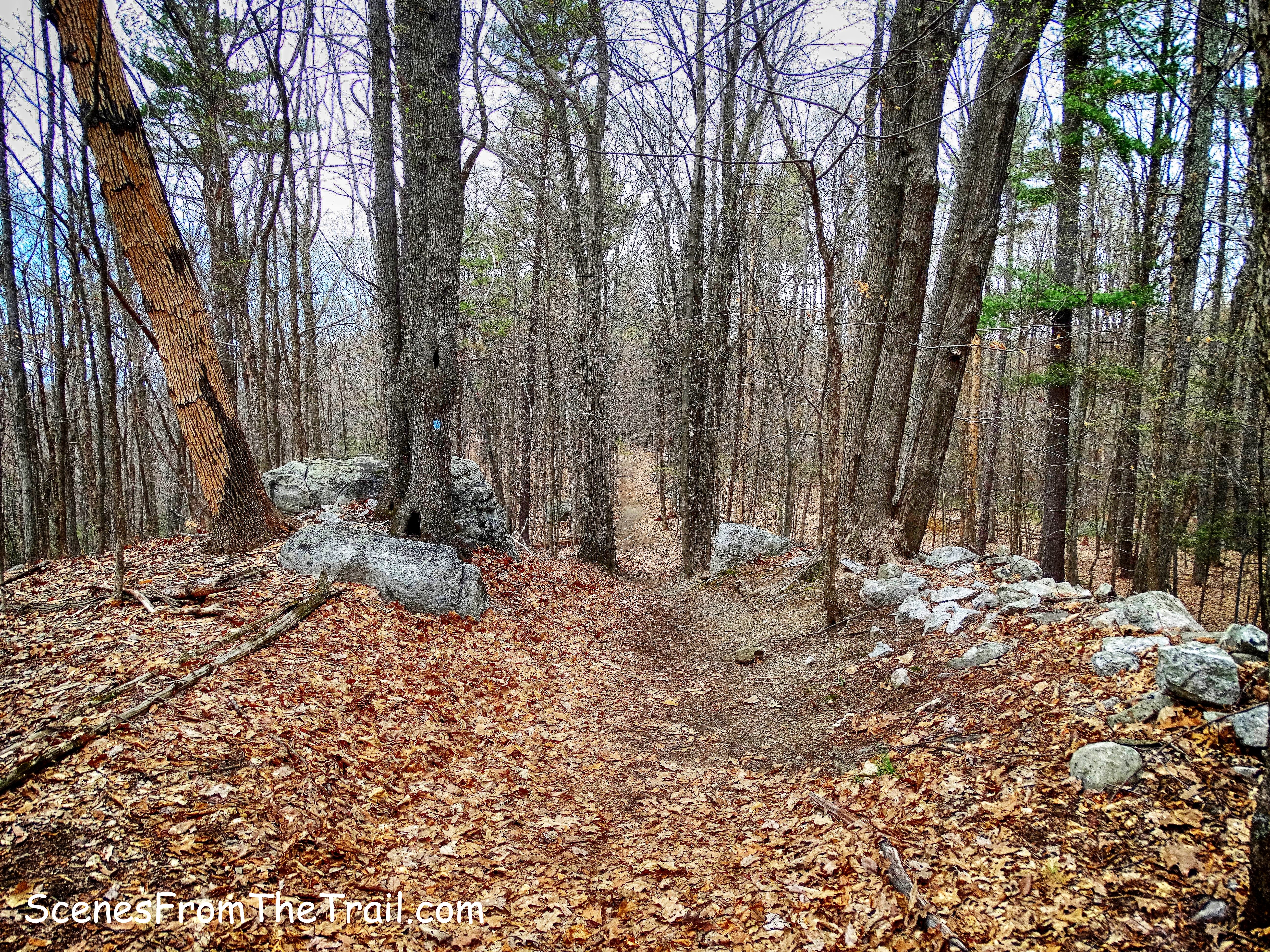 Table Rocks Trail