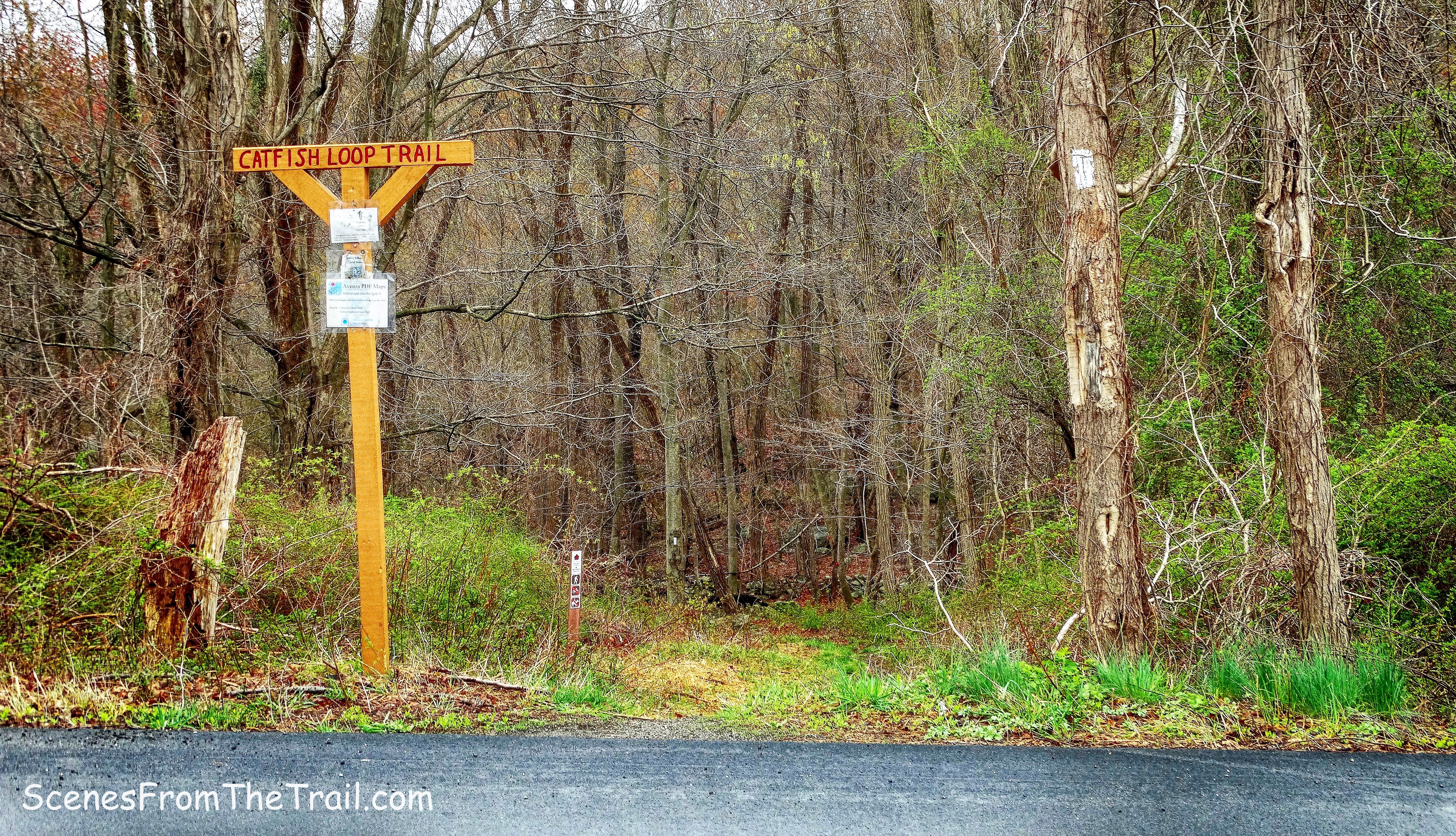Catfish Loop Trail