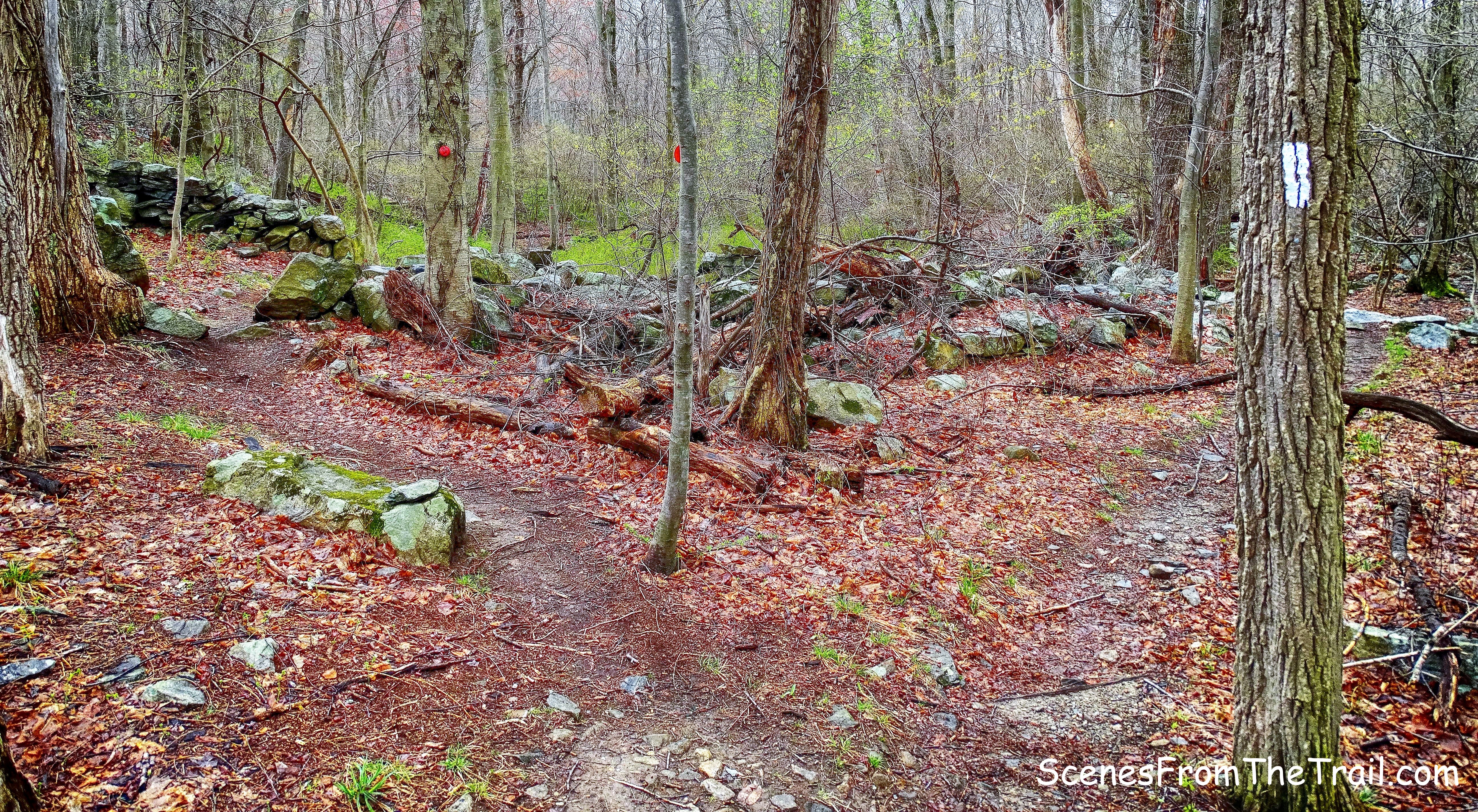Catfish Loop Trail