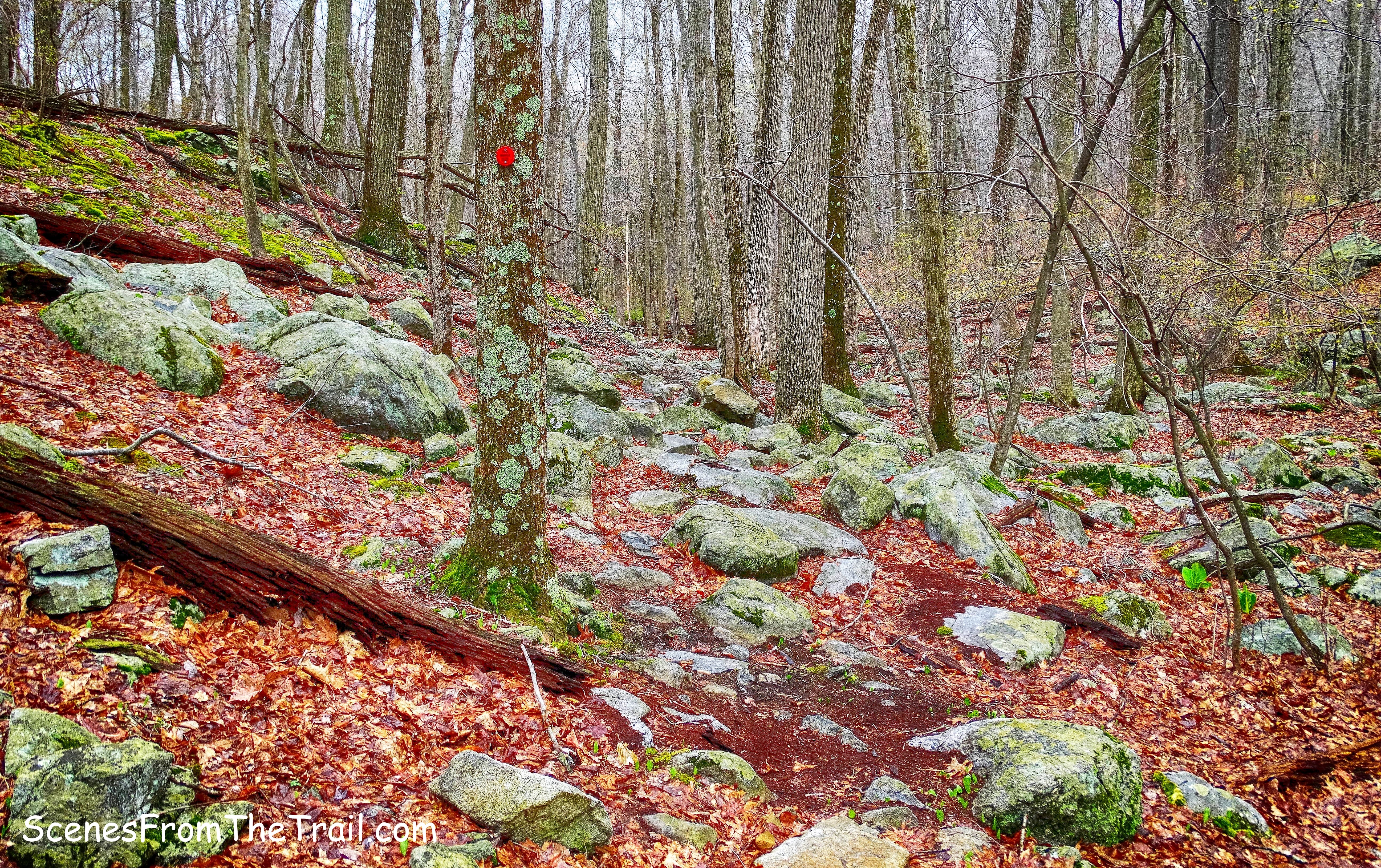 Catfish Loop Trail