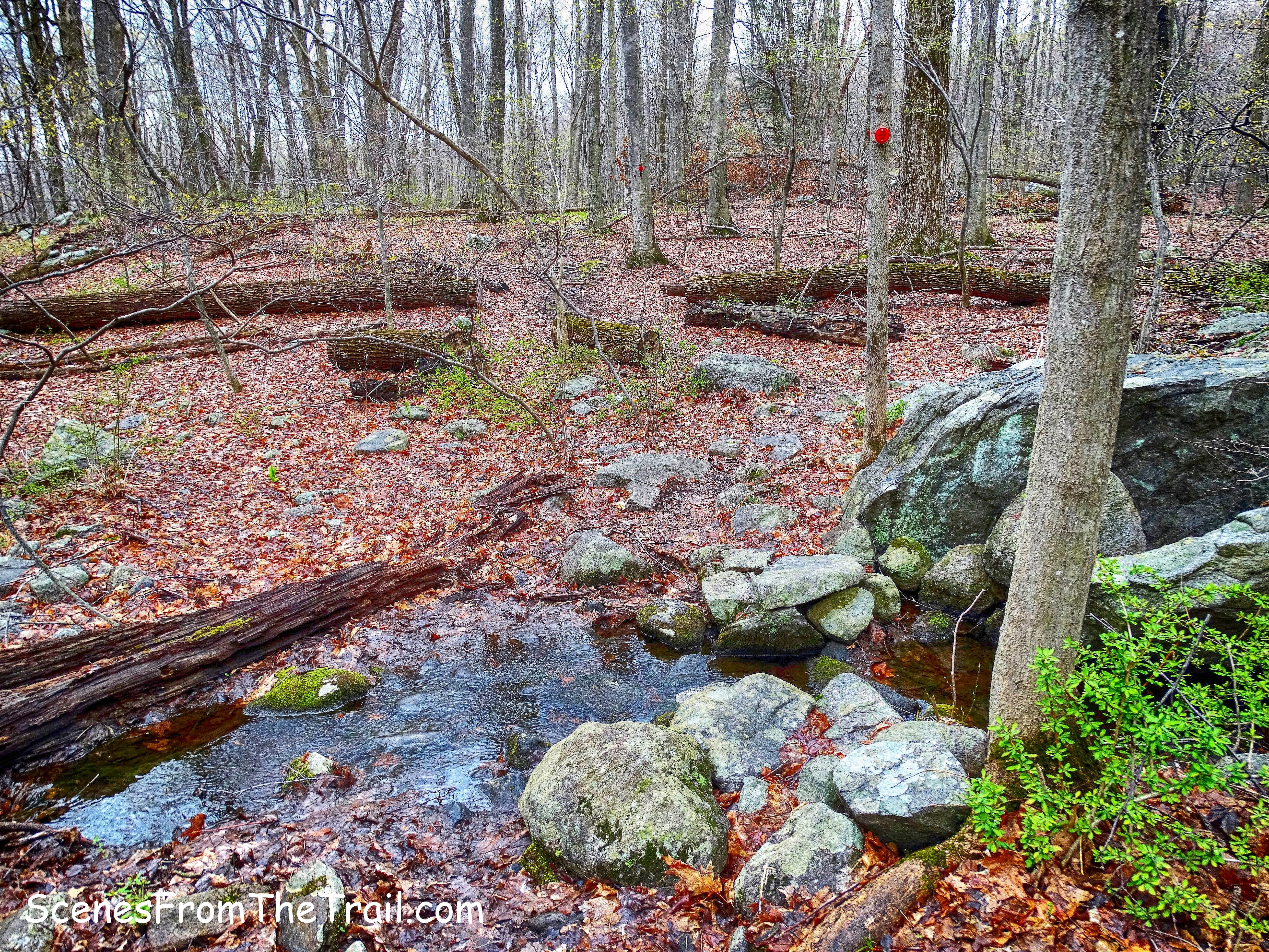 stream crossing