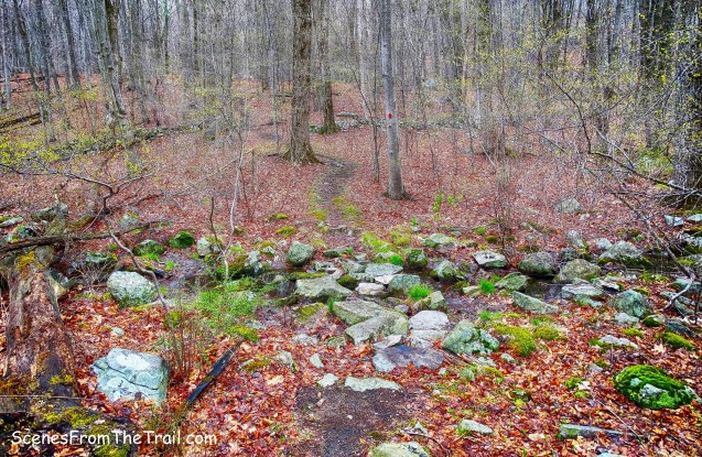 second stream crossing then climb