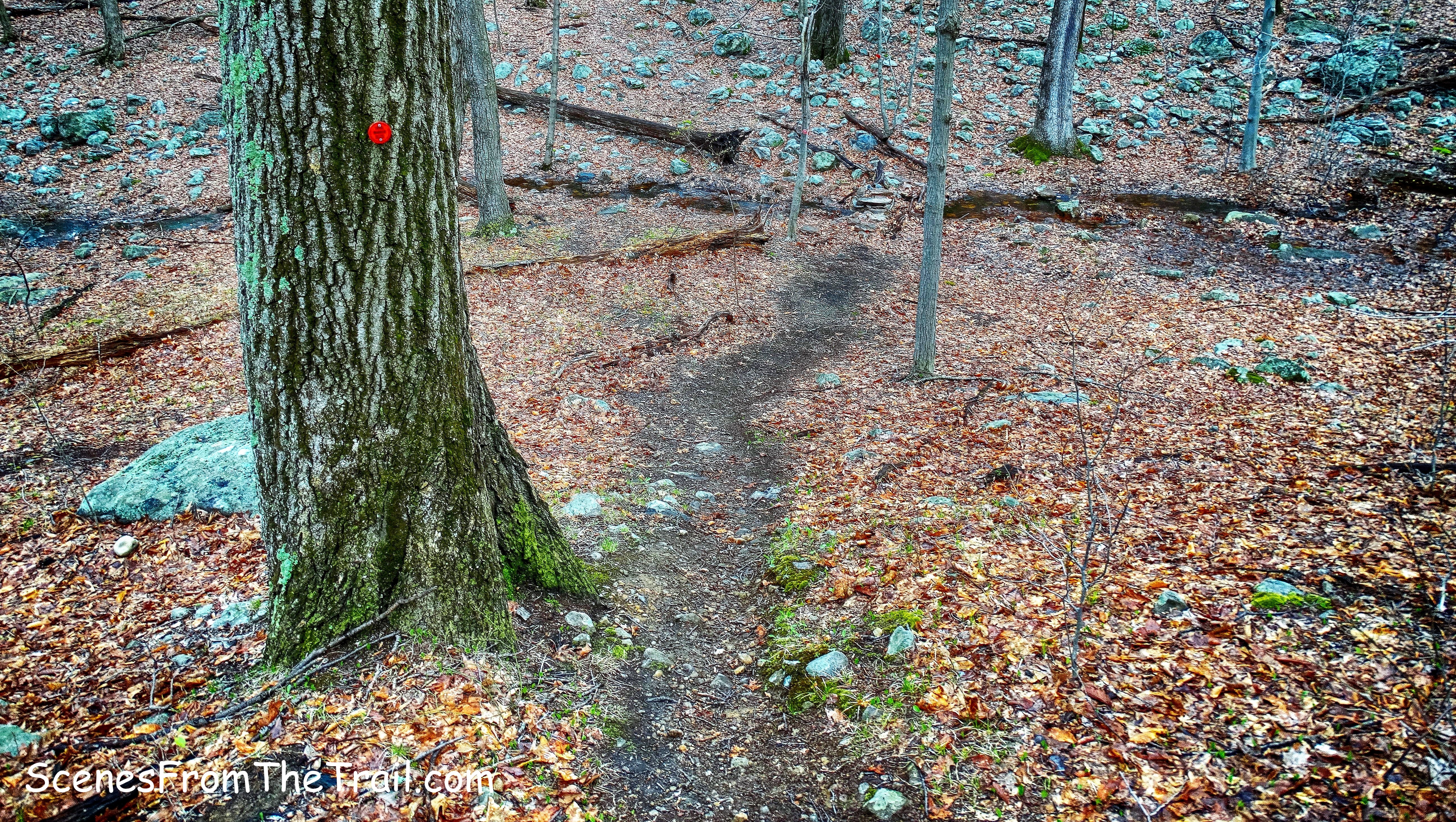 trail descends to cross another stream