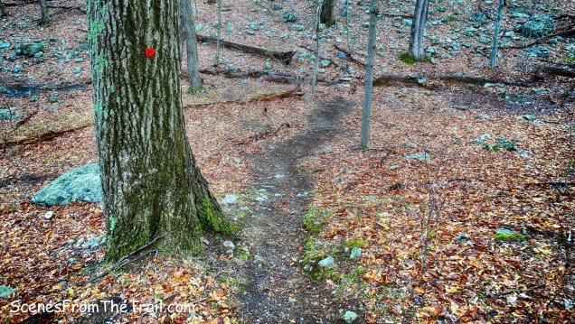 trail descends to cross another stream
