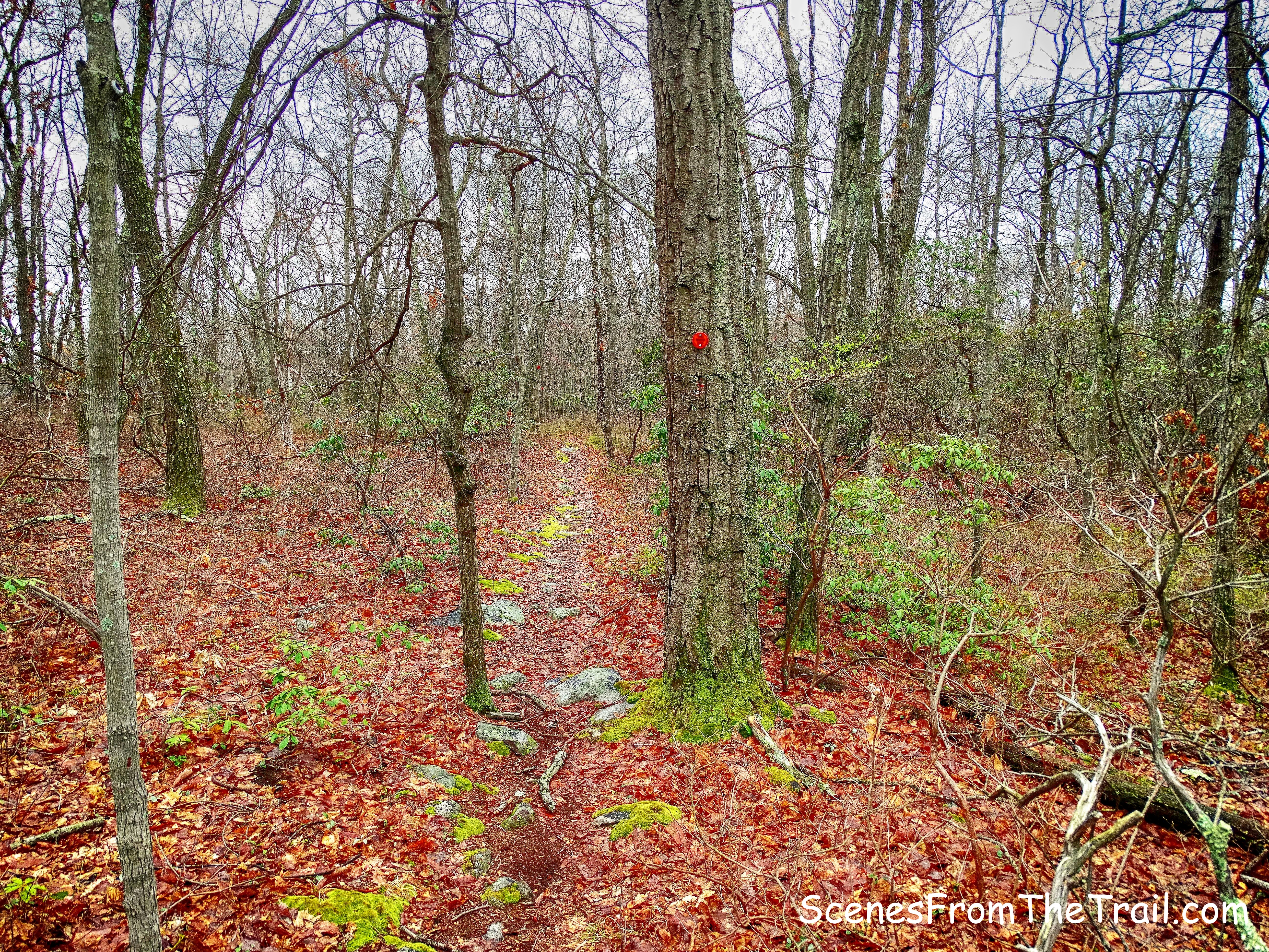 fairly level tract