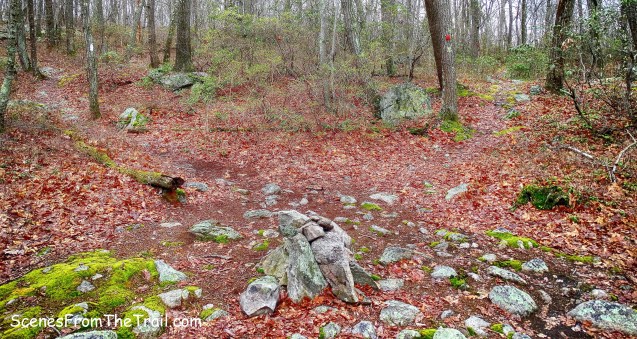 Catfish Loop Trail crosses the AT