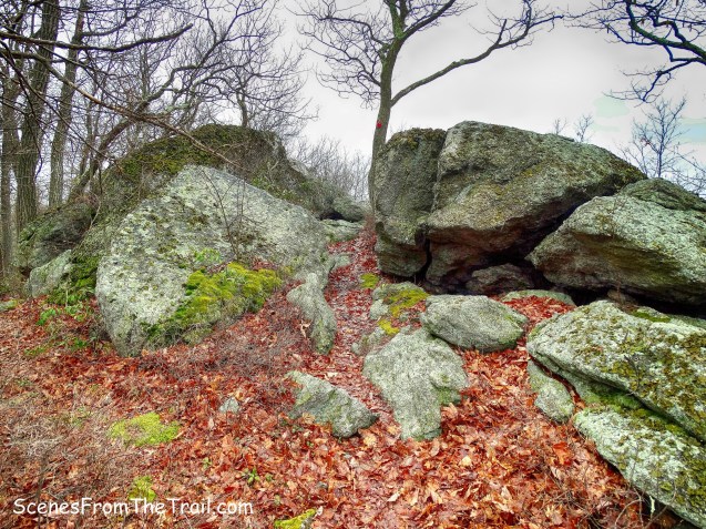 Catfish Loop Trail passes between large boulders