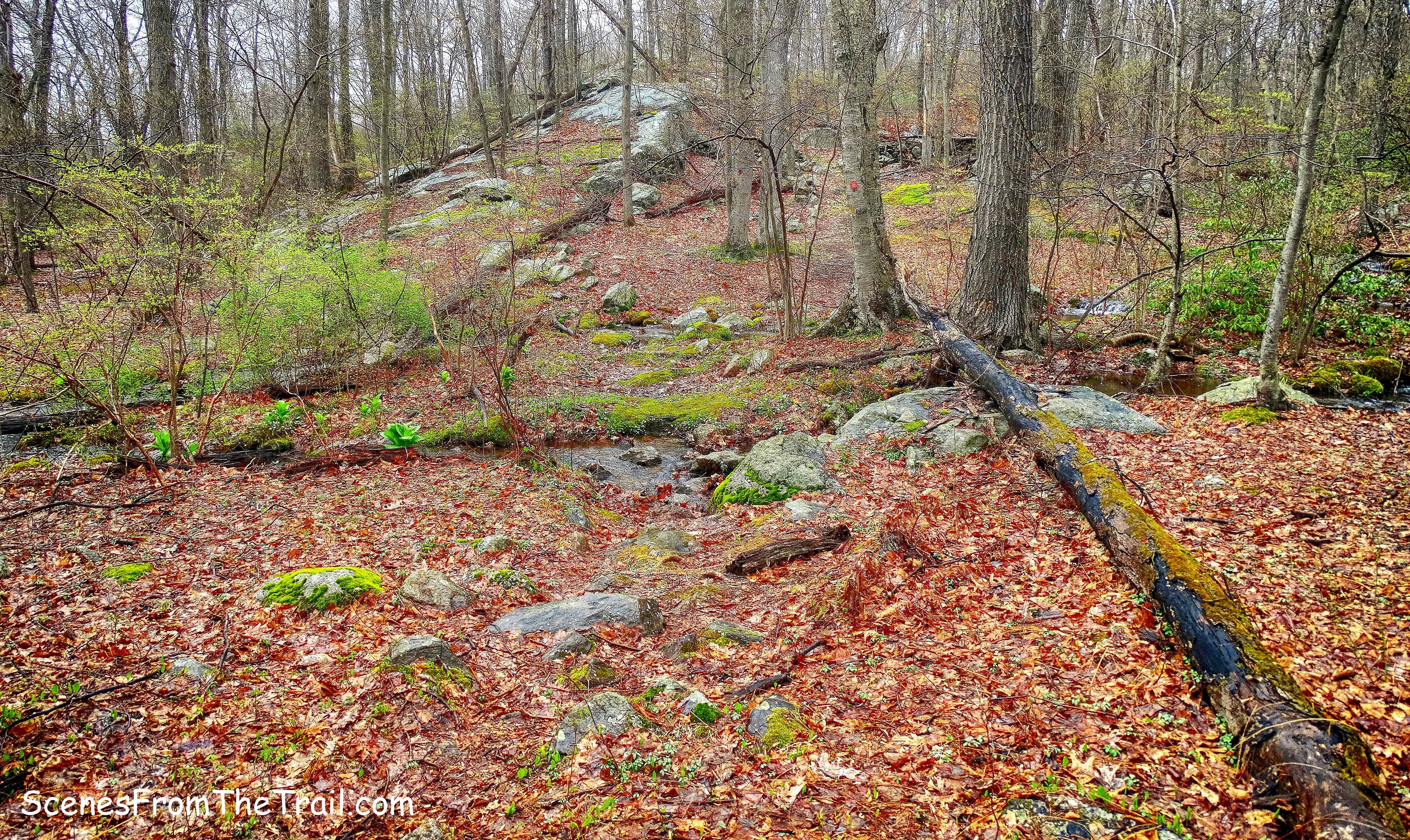 Catfish Loop Trail