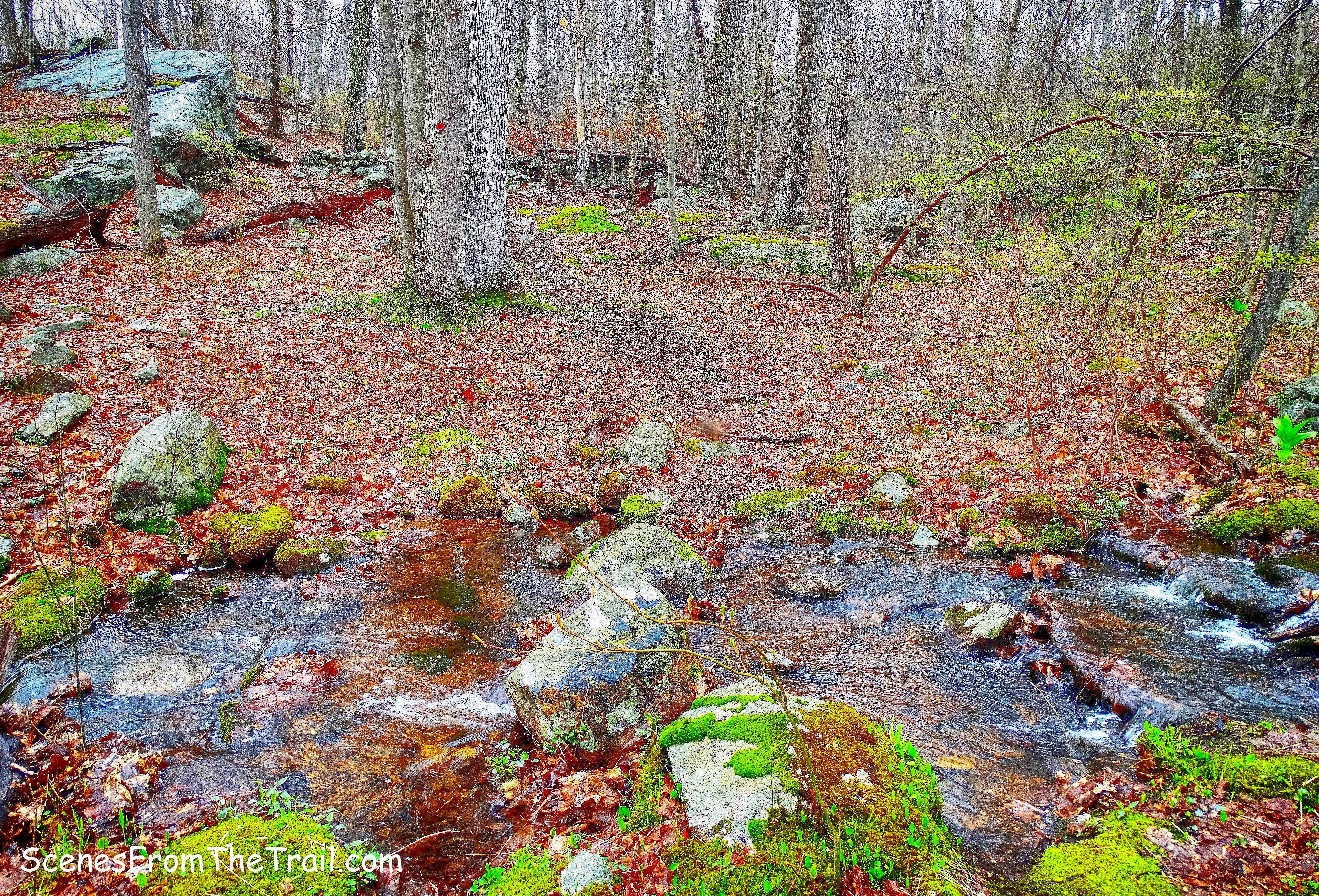 stream crossing