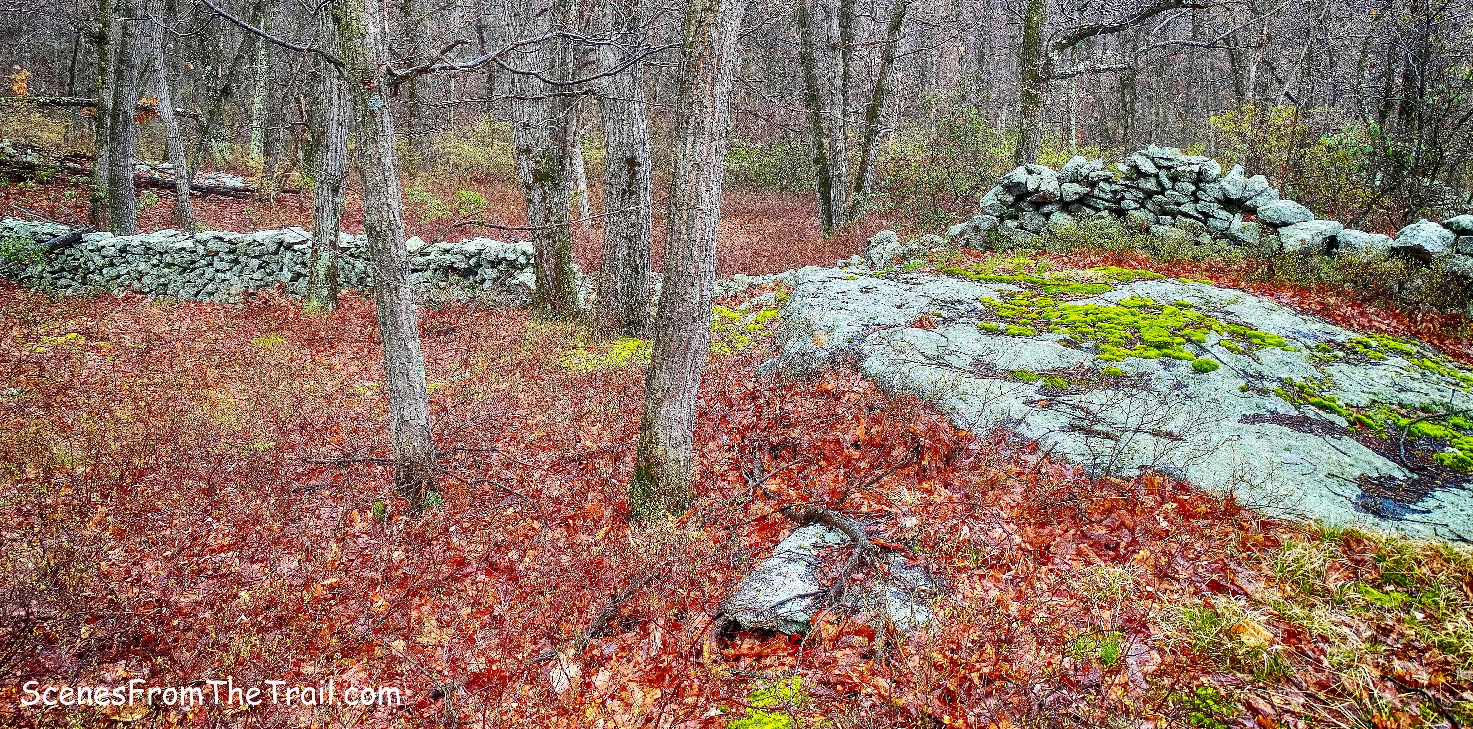 Catfish Loop Trail
