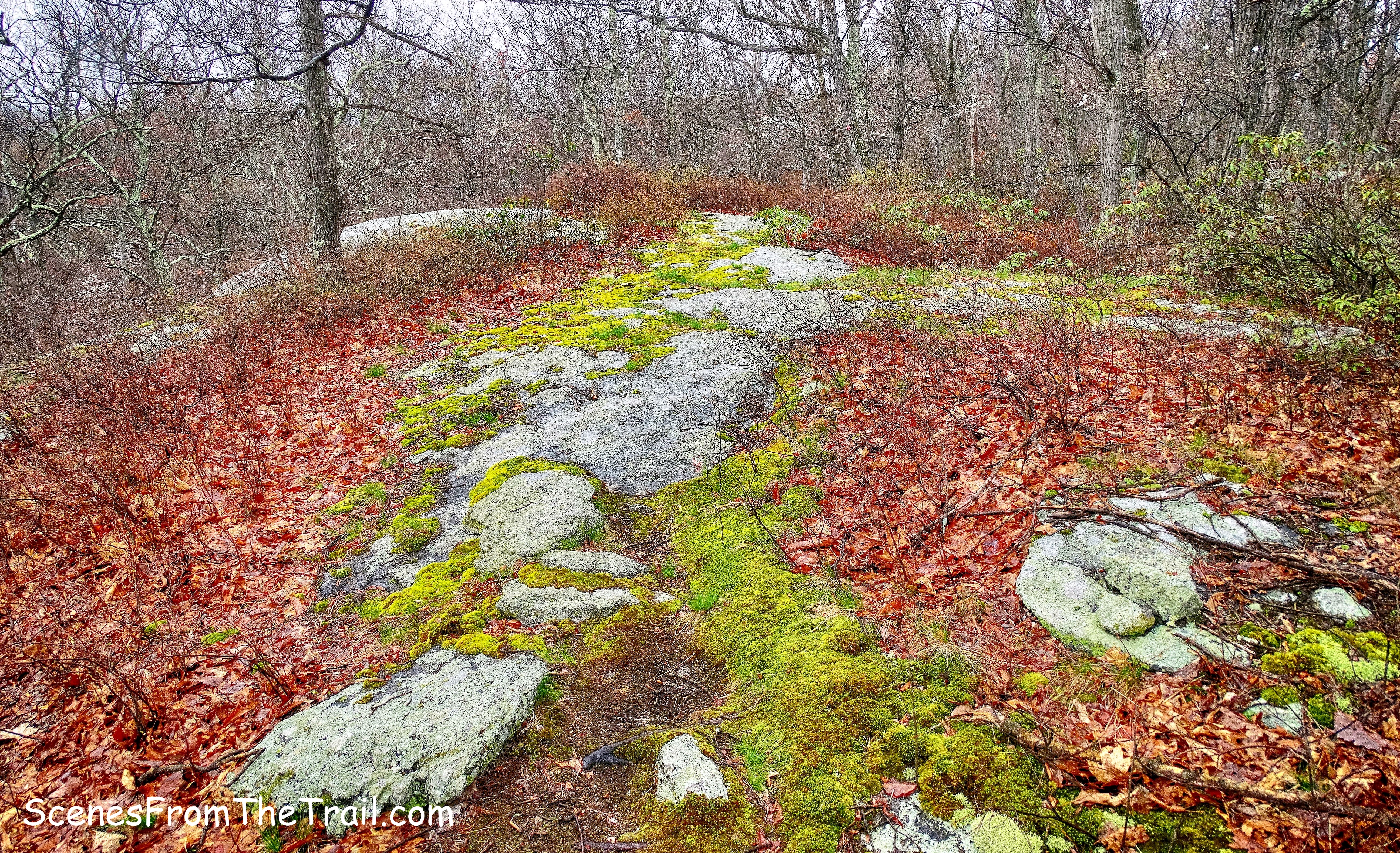 Catfish Loop Trail