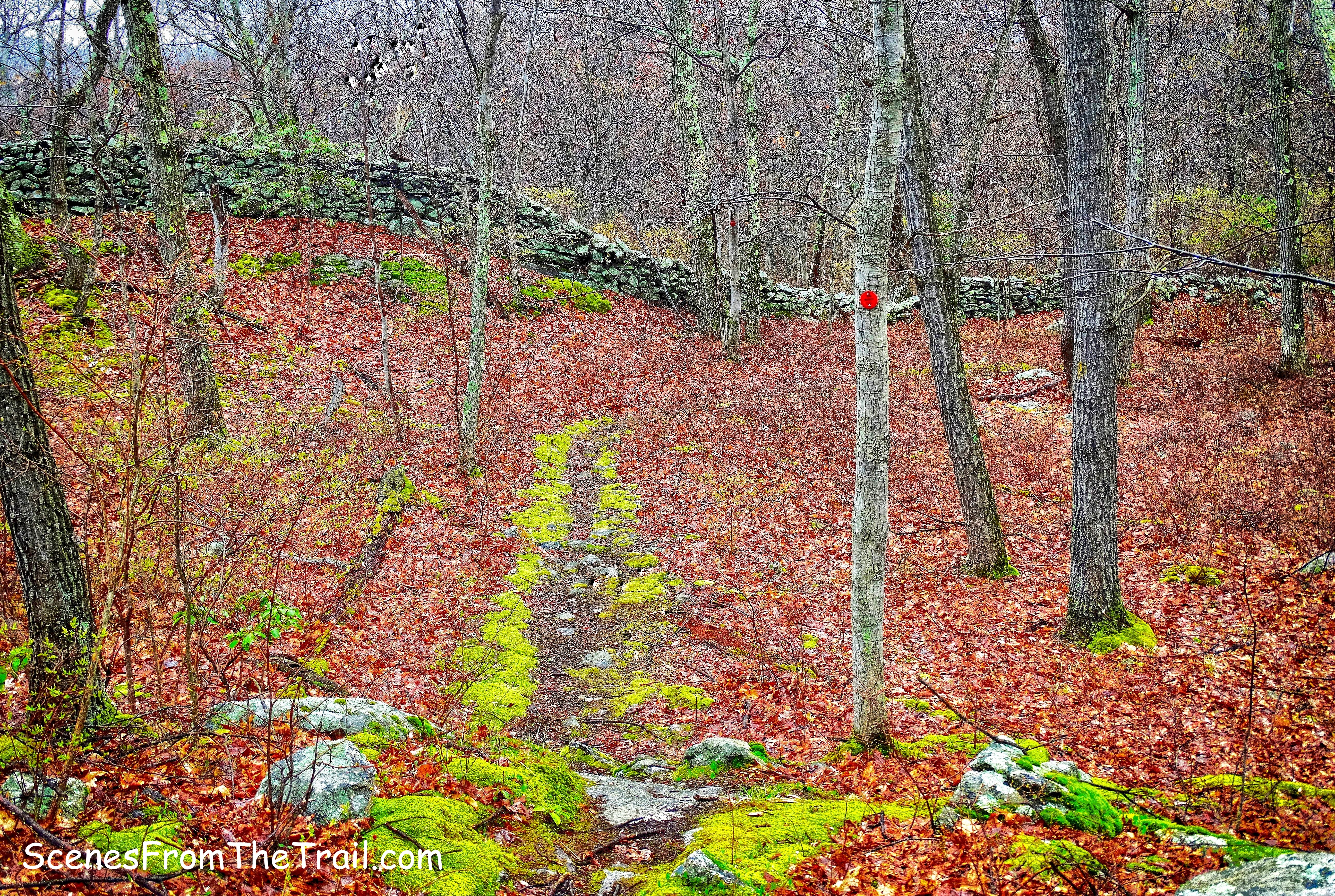 Catfish Loop Trail