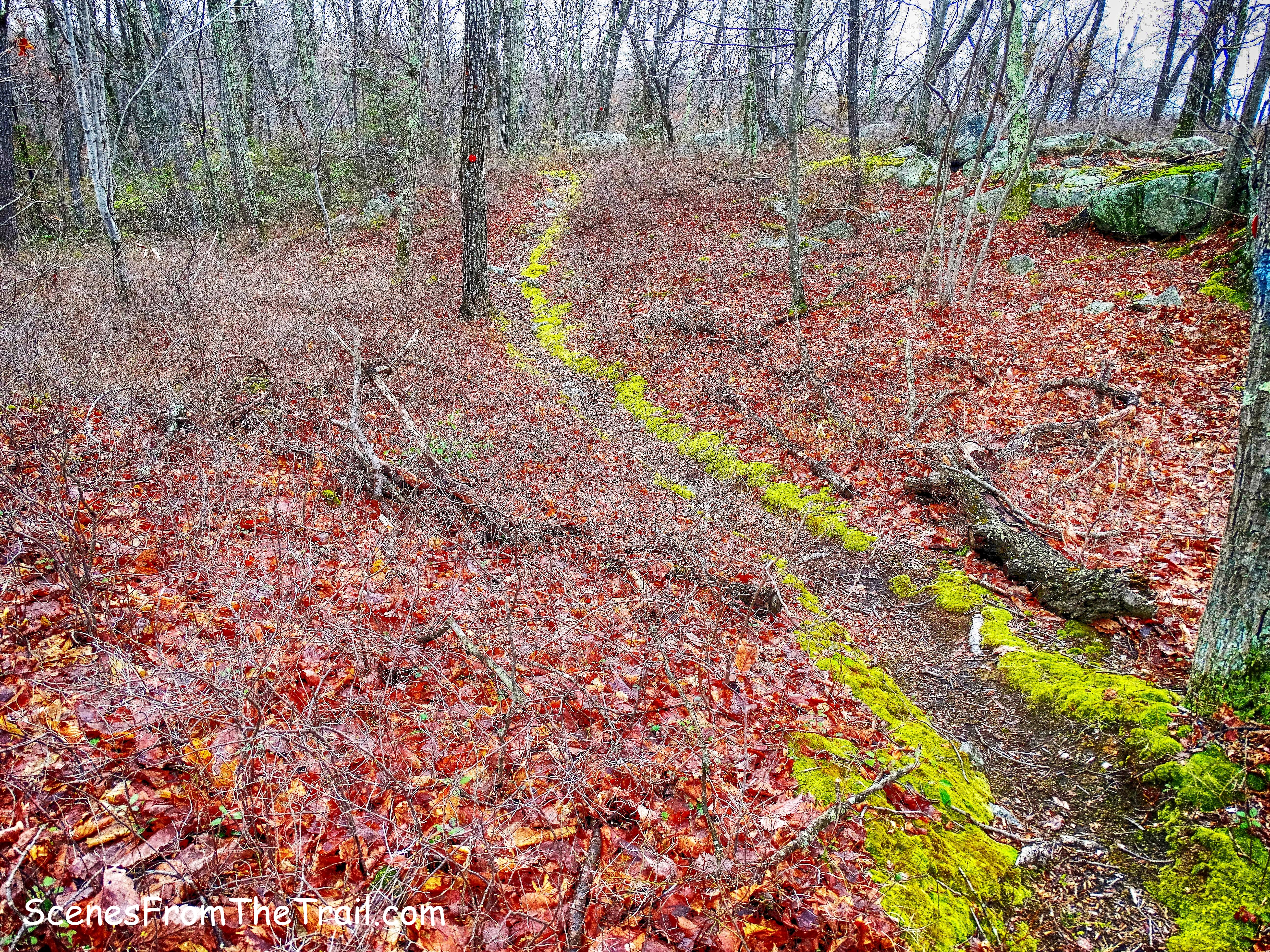 Catfish Loop Trail