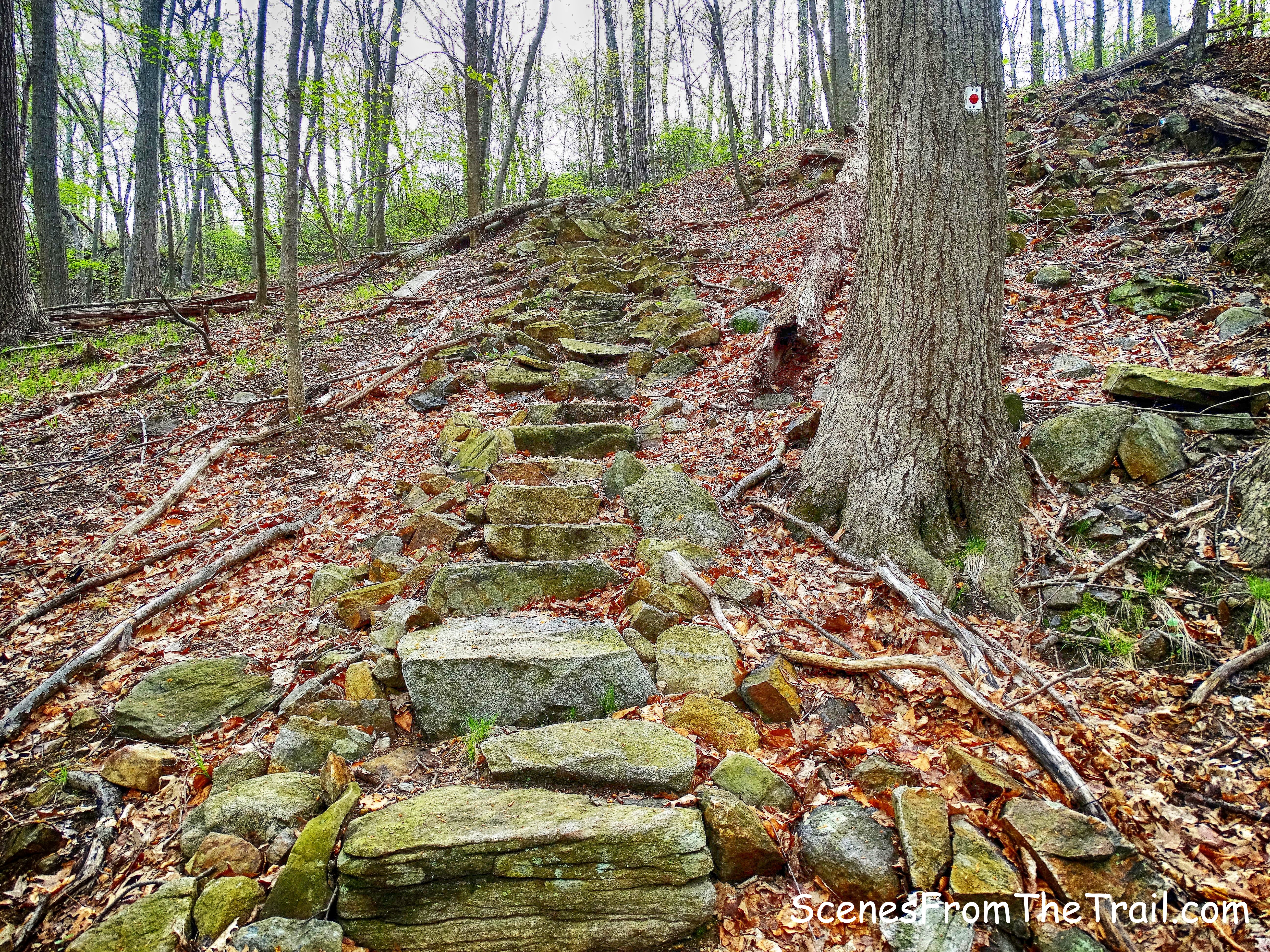 red-on-white-blazed Ramapo-Dunderberg (R-D) Trail
