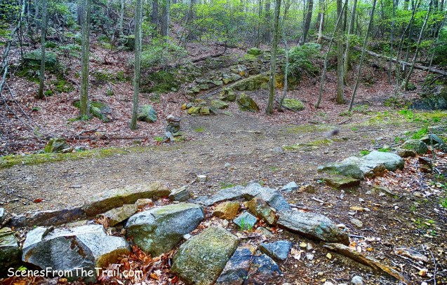 Beechy Bottom East Road