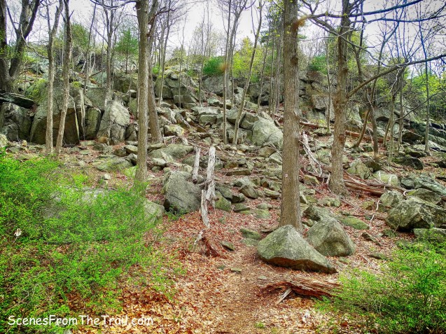 Ramapo-Dunderberg (R-D) Trail