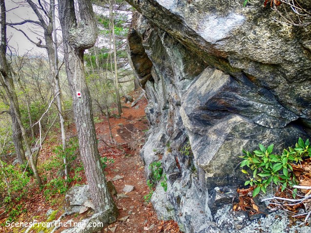 Ramapo-Dunderberg (R-D) Trail