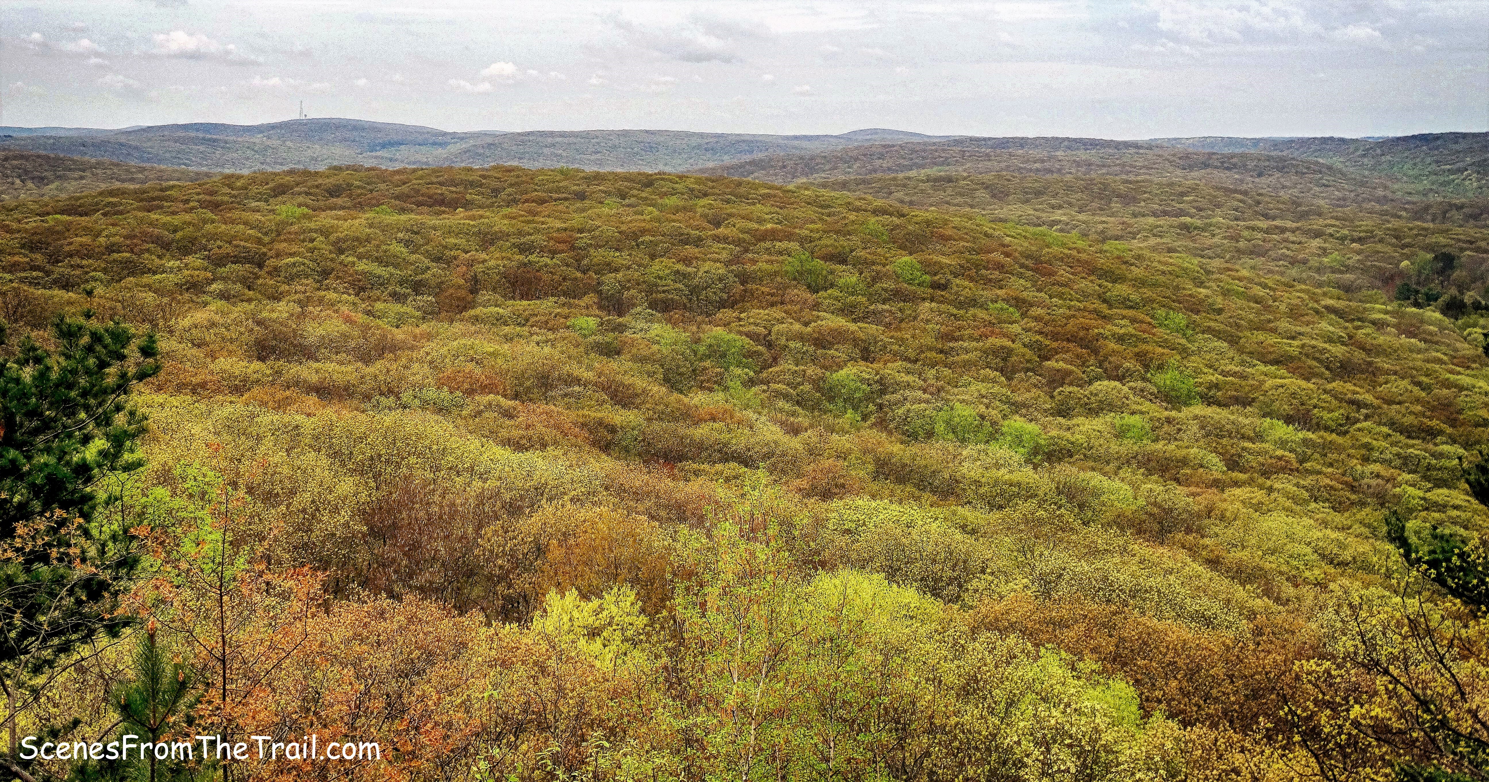 view south from Ramapo-Dunderberg (R-D) Trail