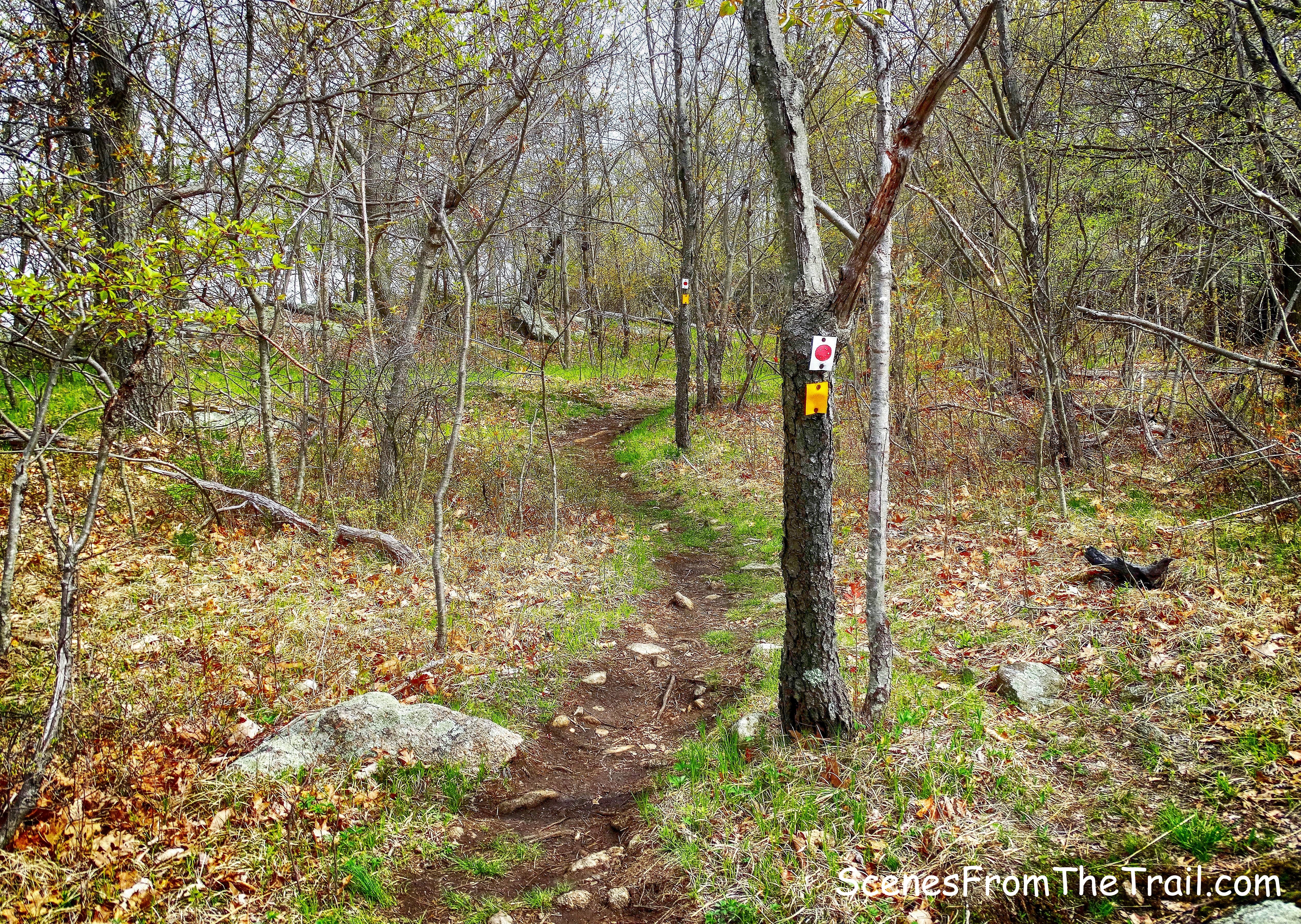 joint Ramapo-Dunderberg (R-D) Trail and Suffern-Bear Mountain (S-BM) Trail