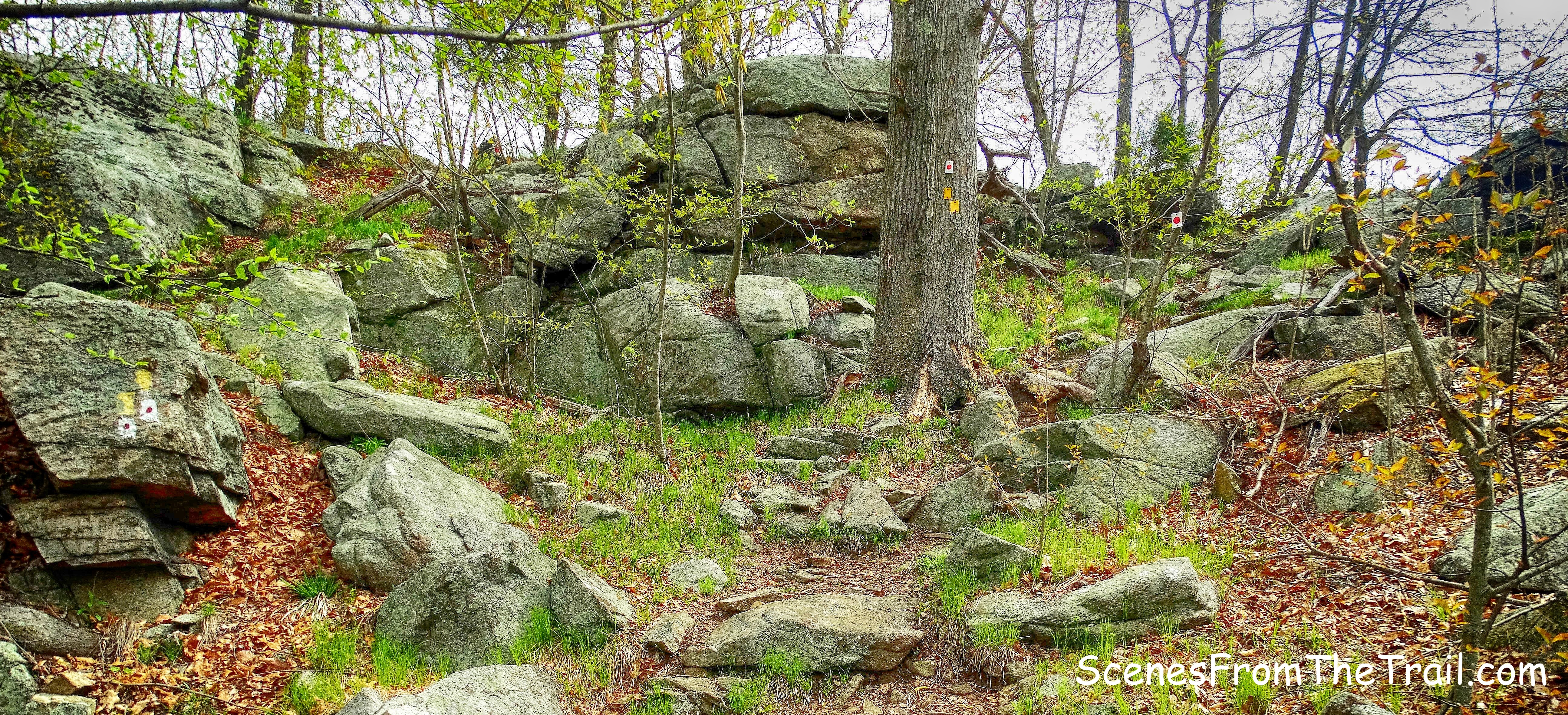 joint Ramapo-Dunderberg (R-D) Trail and Suffern-Bear Mountain (S-BM) Trail