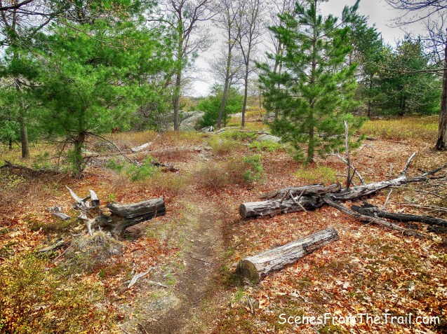 Suffern-Bear Mountain (S-BM) Trail