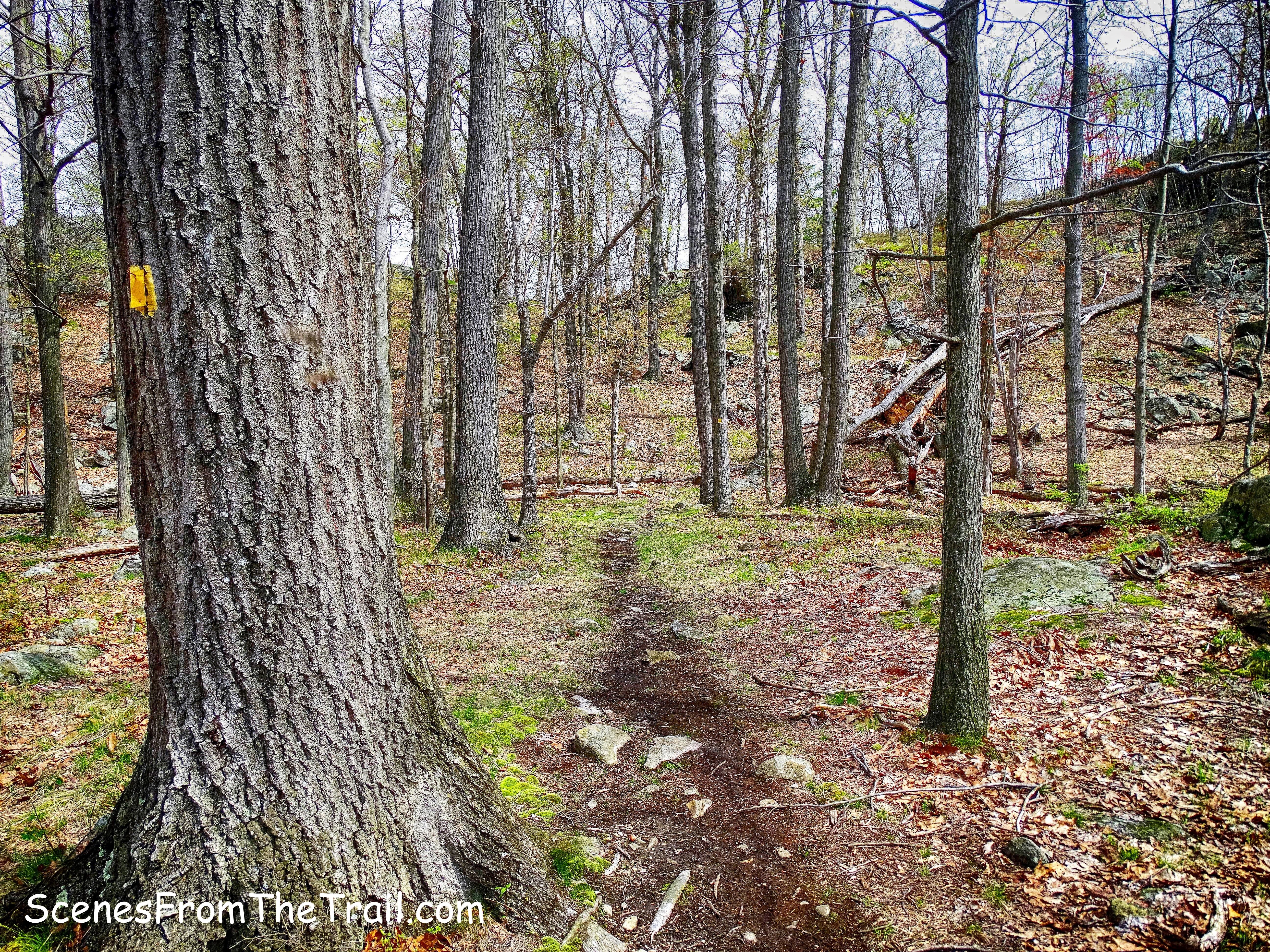 Suffern-Bear Mountain (S-BM) Trail