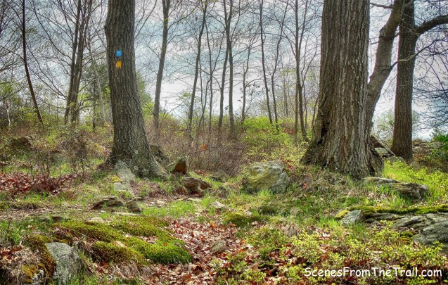 joint blue-blazed Timp-Torne Trail and Suffern-Bear Mountain (S-BM) Trail