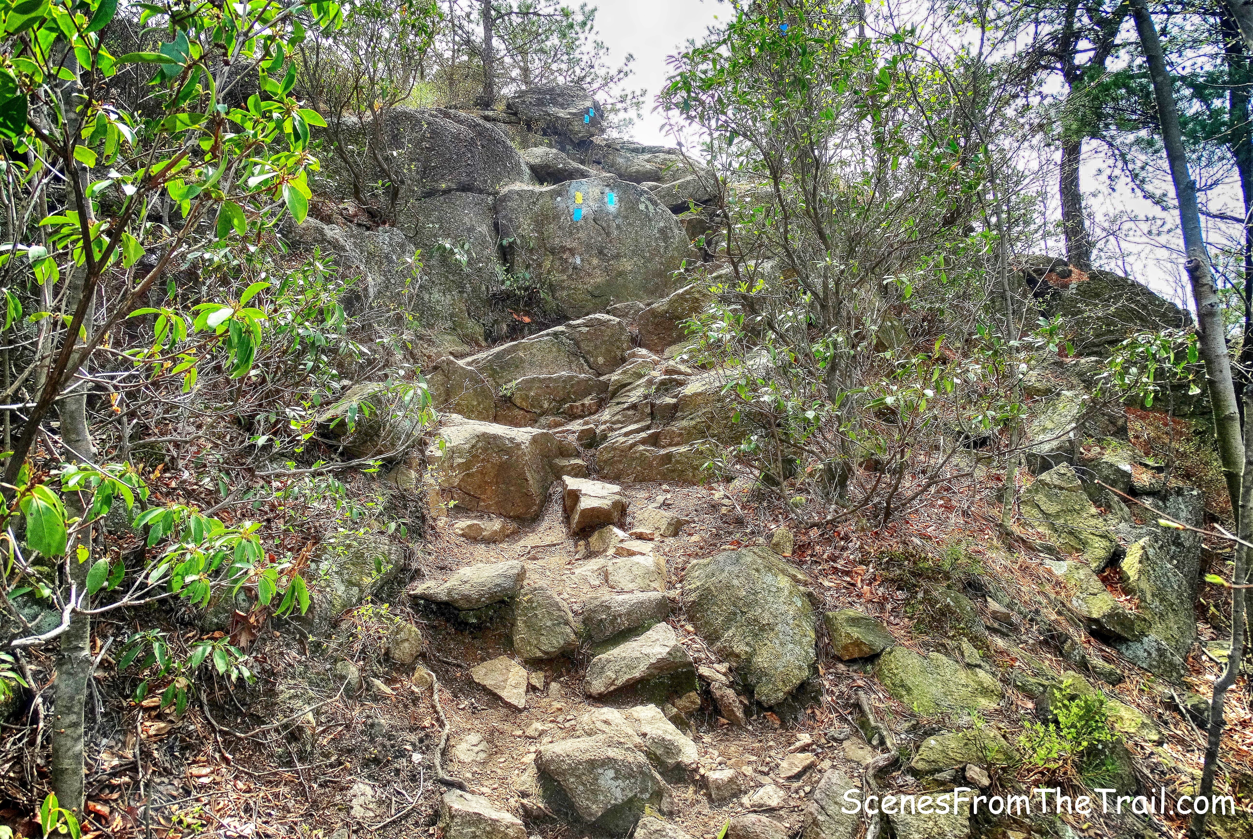 joint Timp-Torne Trail and Suffern-Bear Mountain Trail